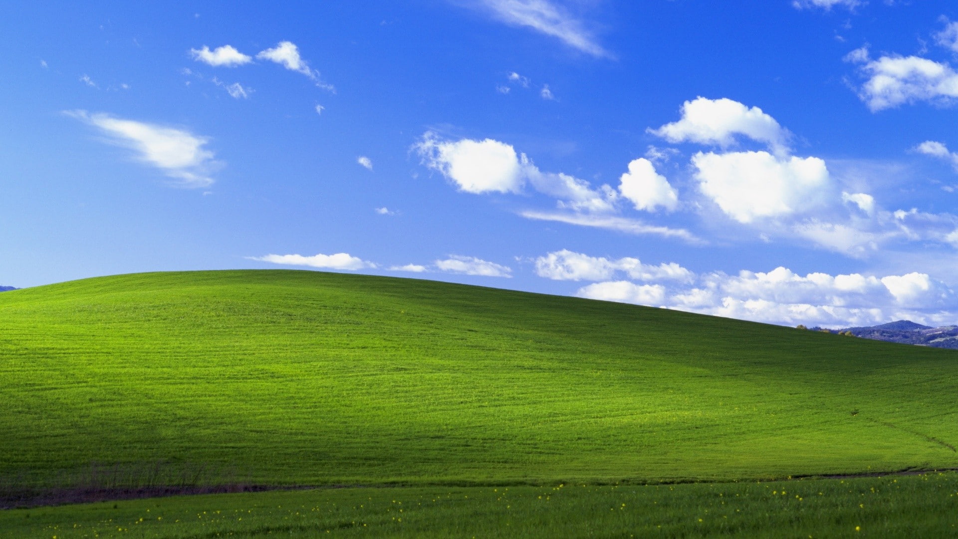 1080P, landscape, garden, Windows XP, HD Wallpaper