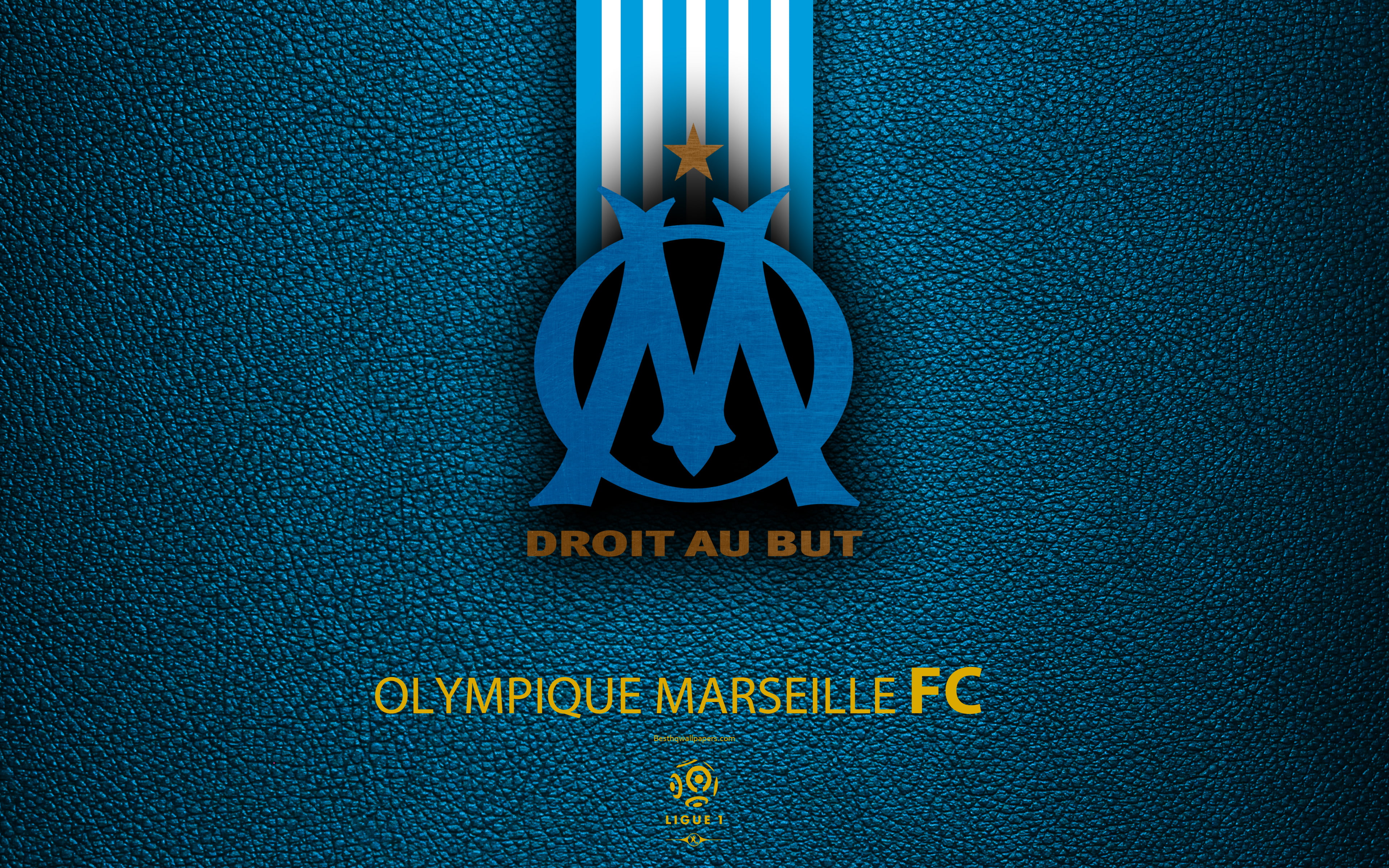 sports, marseille, soccer, olympique, 4K, HD Wallpaper