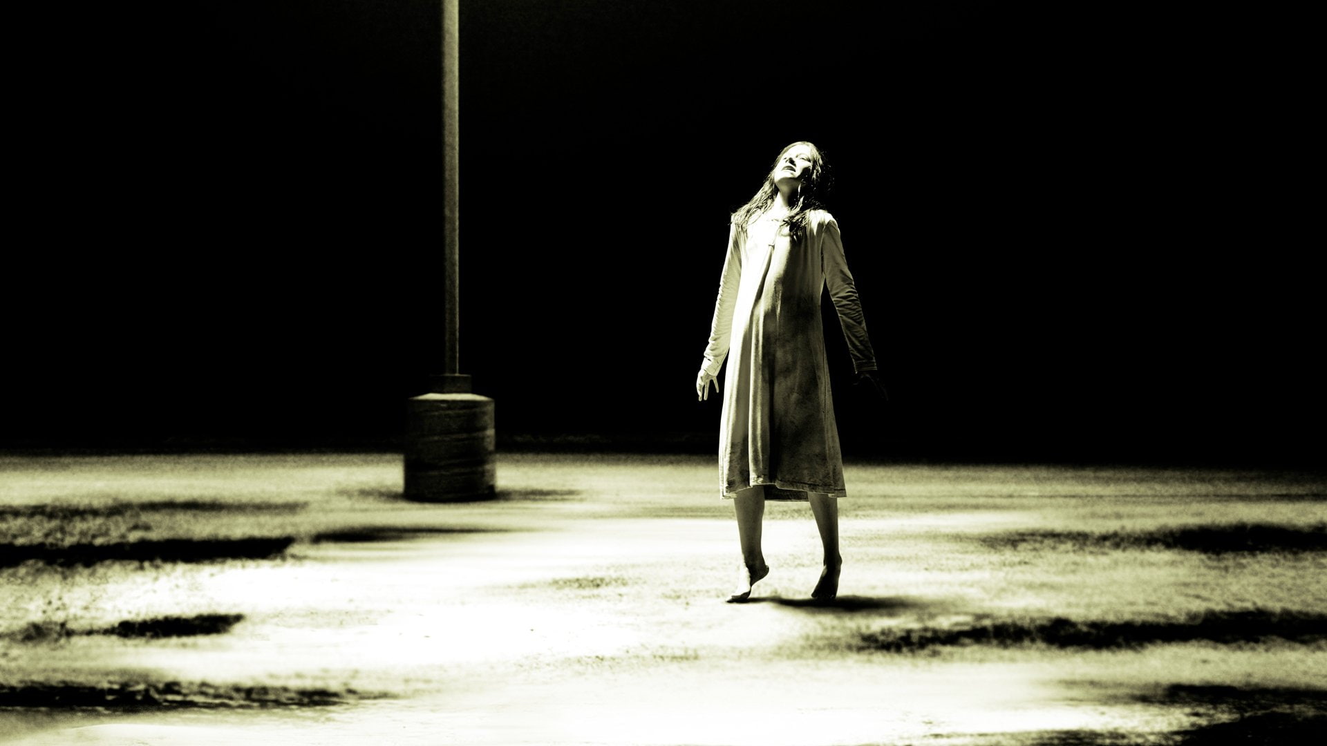 1080P, The Possession, Movie, HD Wallpaper
