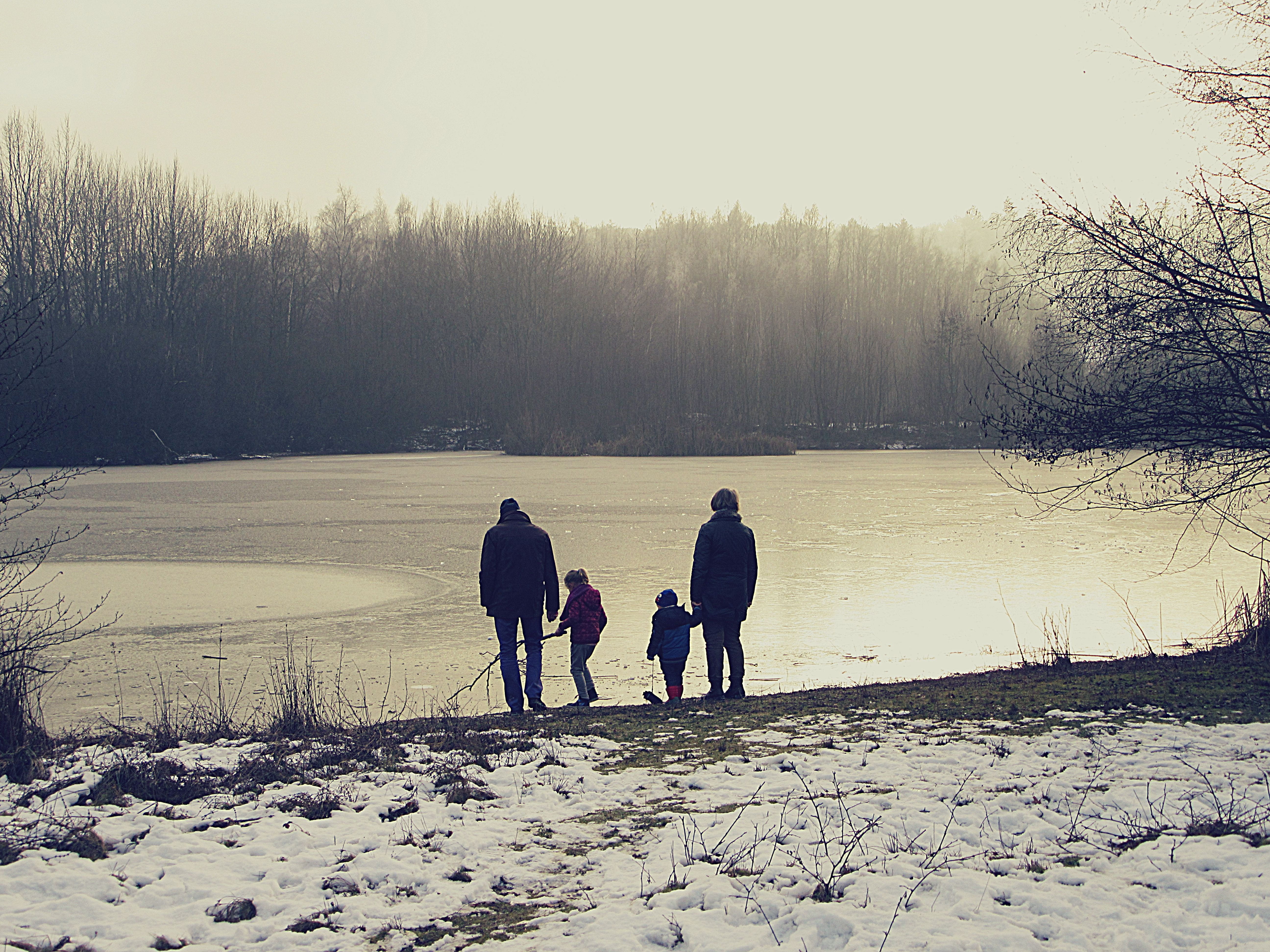 tranquil scene, winter, member, plant, non-urban scene, scenics - nature, vintage, grandchildren, Silhouettes, outdoors, nature, beauty in nature, daytime, HD Wallpaper