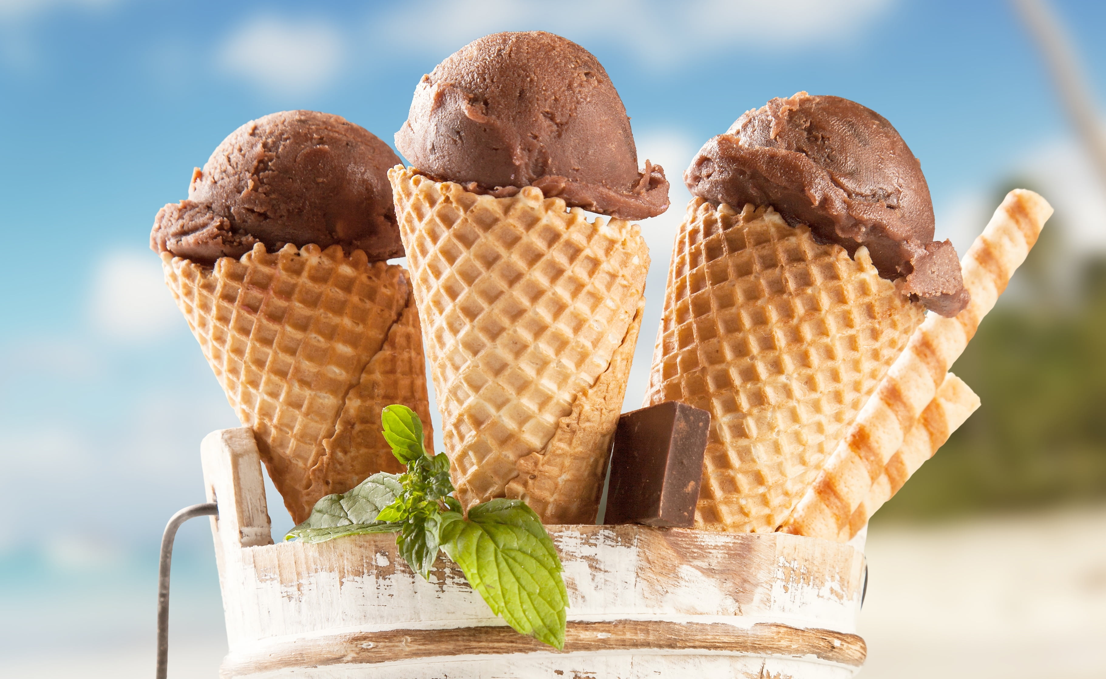 backgrounds, mint, dairy product, gourmet, 2K, freshness, food, refreshment, sweet, close-up, waffle, mint leaf - culinary, dessert, ice, brown, ice Cream Cone, HD Wallpaper