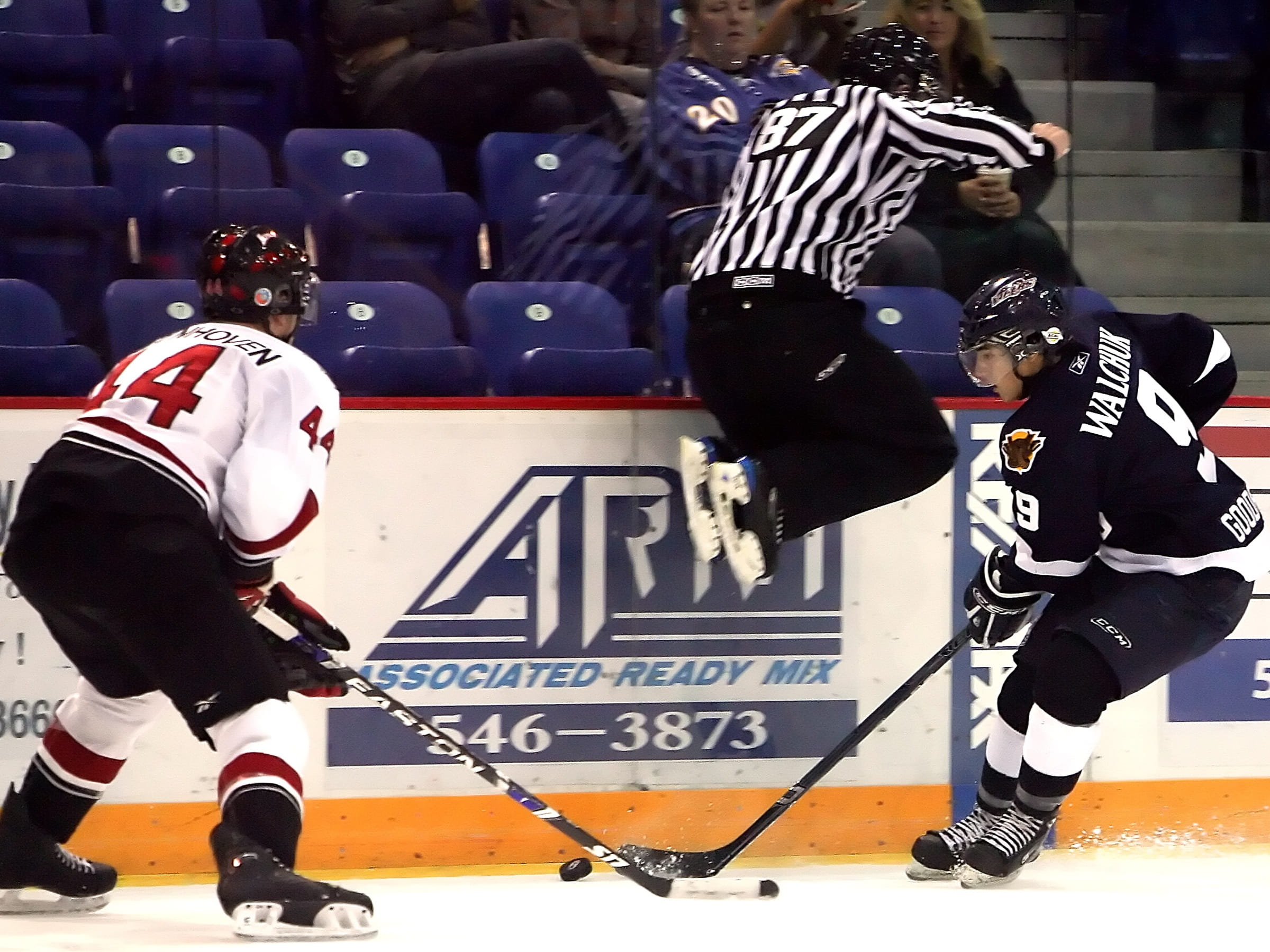 occupation, people, active, zebra, Referee, headwear, game, hockey referee, protection, play, ice rink, Hockey, winter sport, real people, security, government, HD Wallpaper