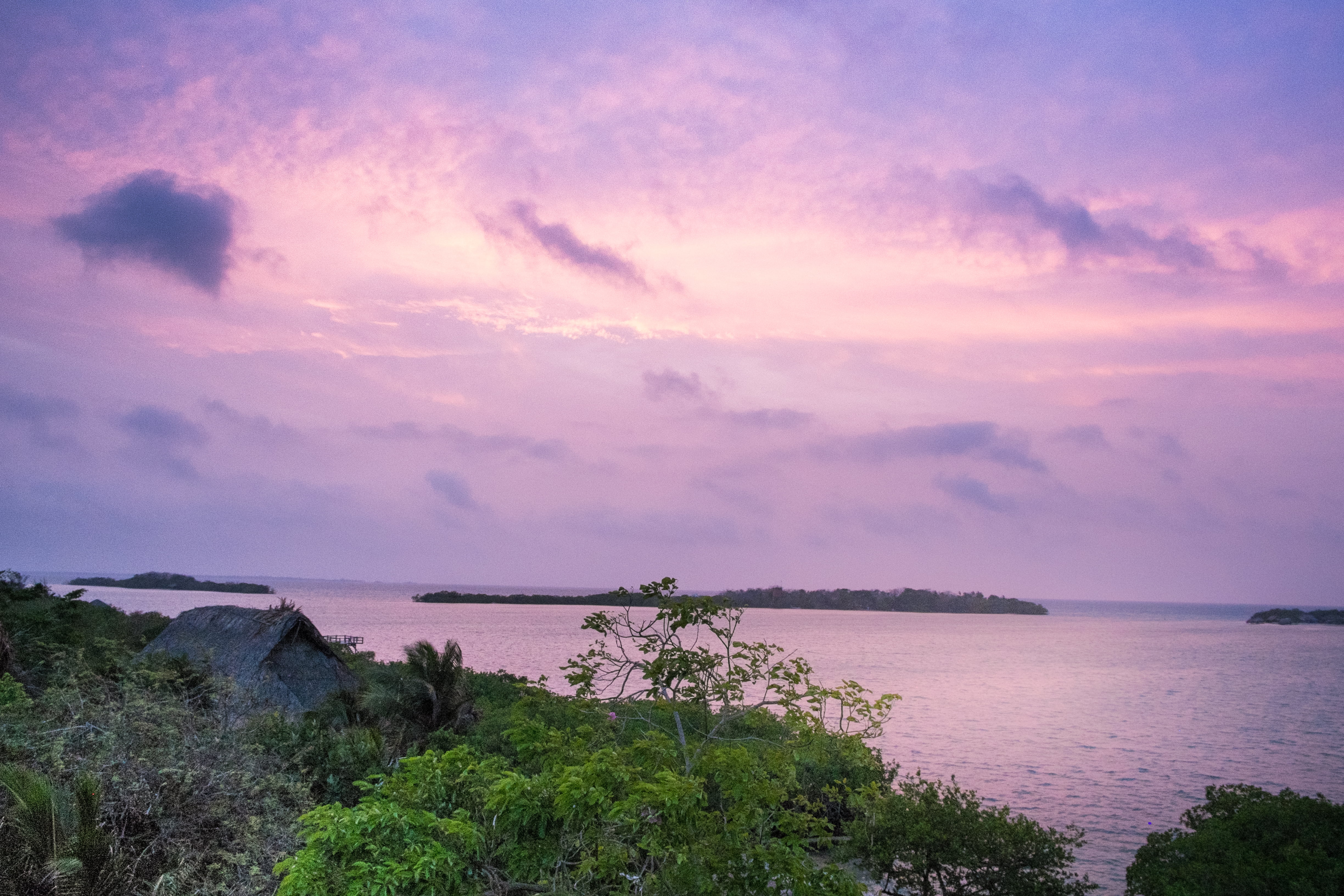 Cartagena  de  Indias, body, water, Barú, green leaf, Island, sunset, nature, thailand, body of water, green, beside, outdoors, Colombia, trees, Fuji, caribbean, HD Wallpaper