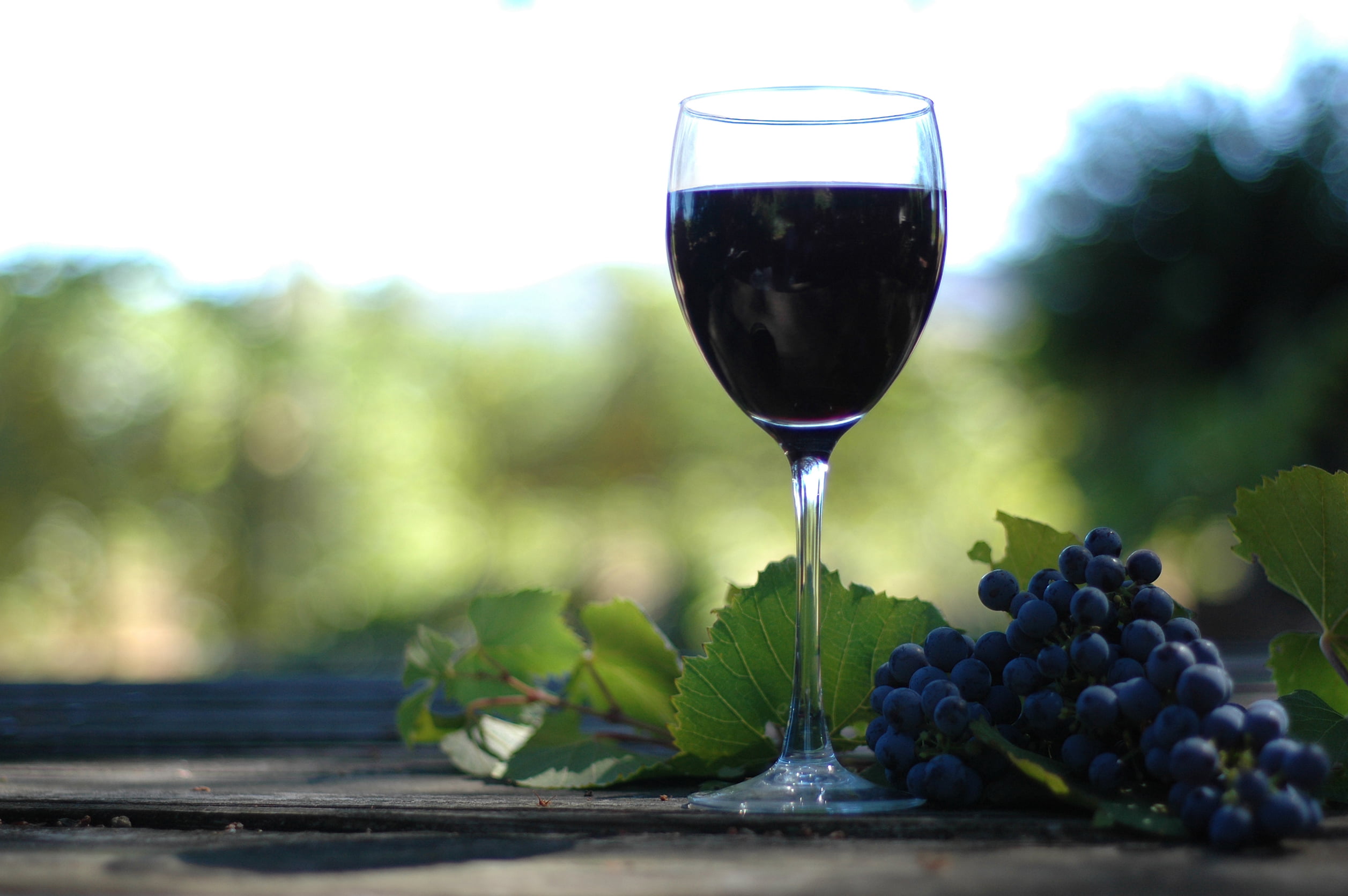 purple, close-up, day, table, wineglass, glass - material, refreshment, winemaking, derive, leaf, wine, drink, grapes, food and drink, focus on foreground, HD Wallpaper