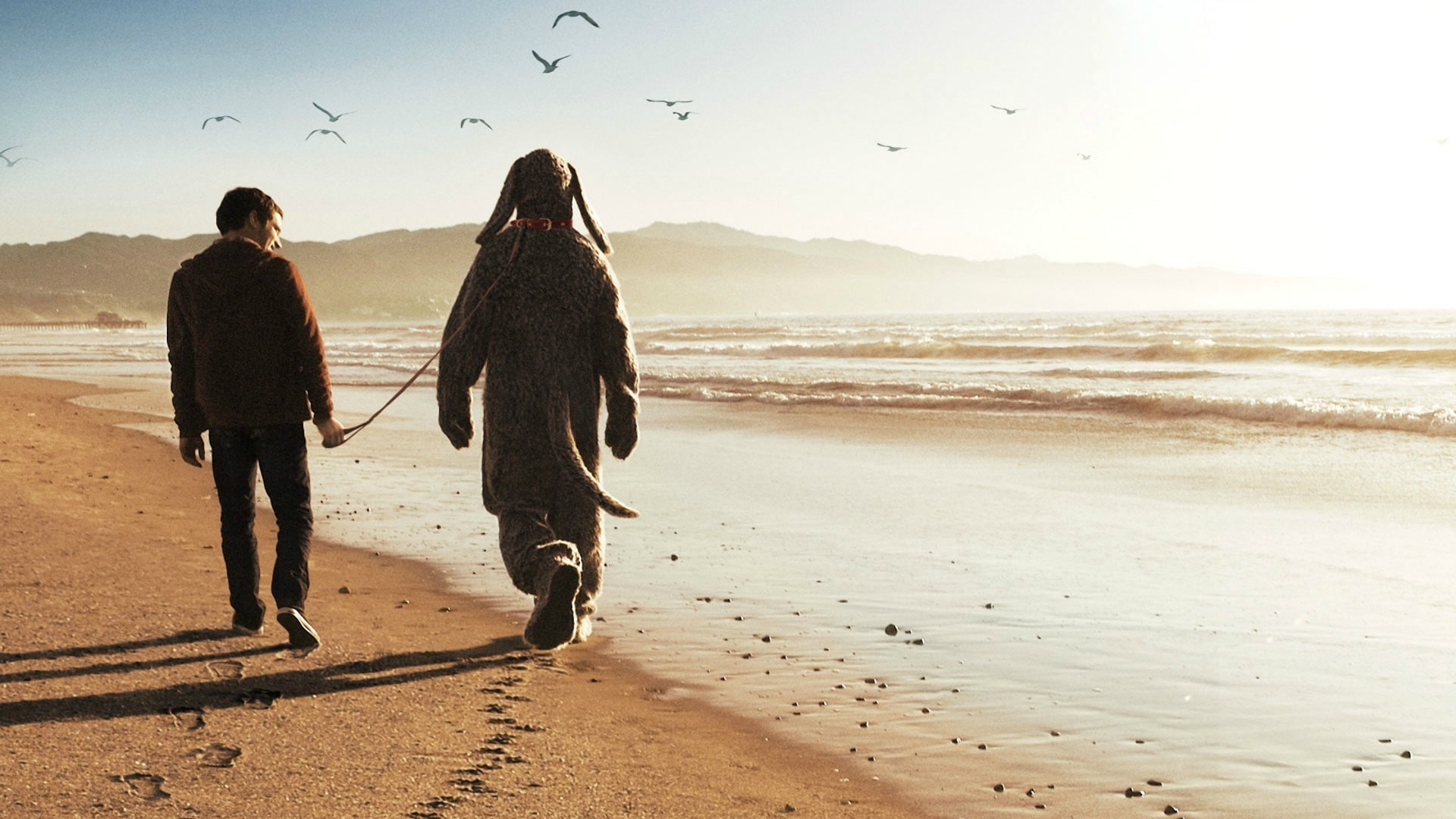 1080P, sea pet elijah wood wilfred tv series people wilfred jason gann beach, HD Wallpaper