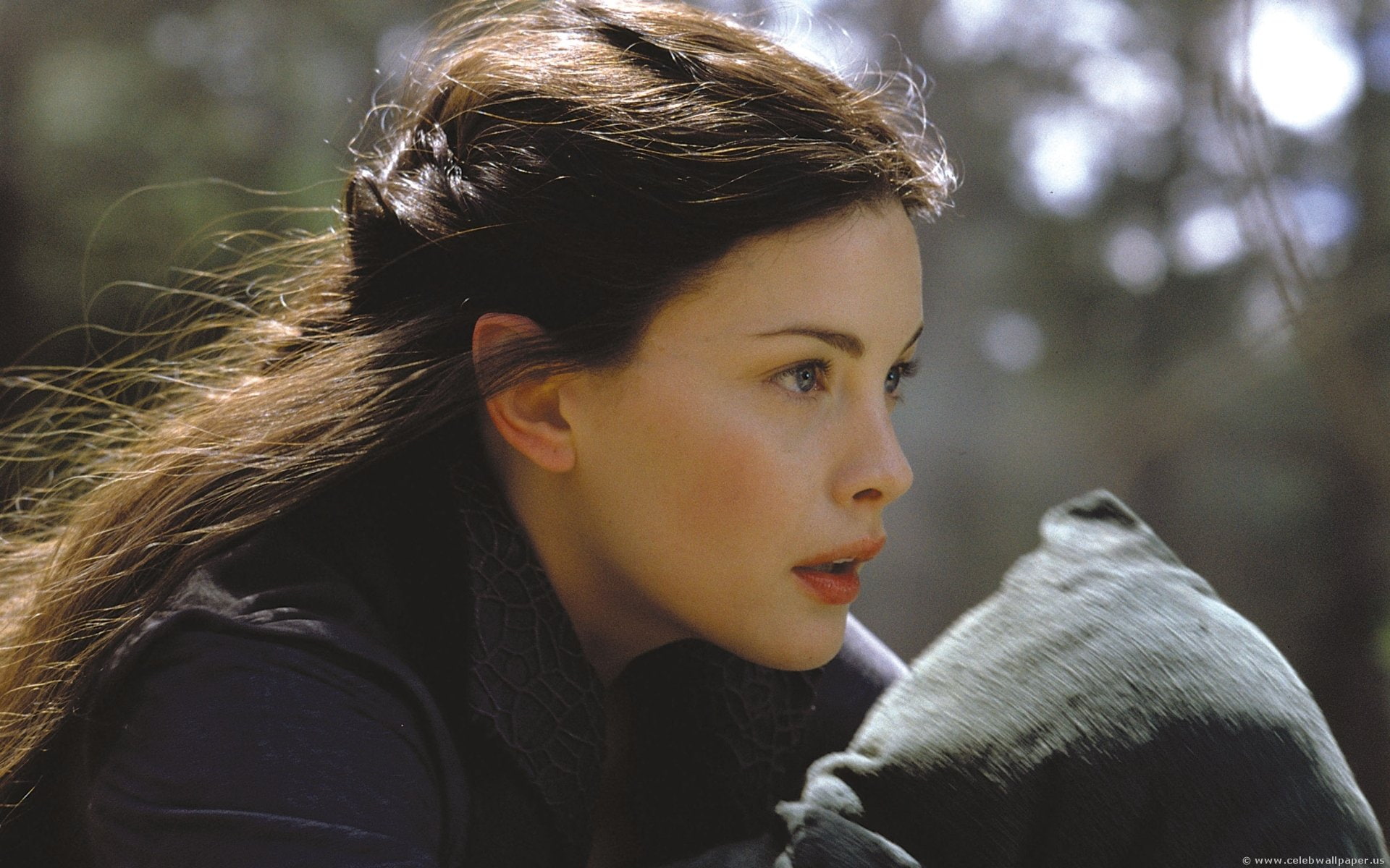 beautiful, movie, girl, hair, arwen, 1080P, the, long, lord, rings, HD Wallpaper