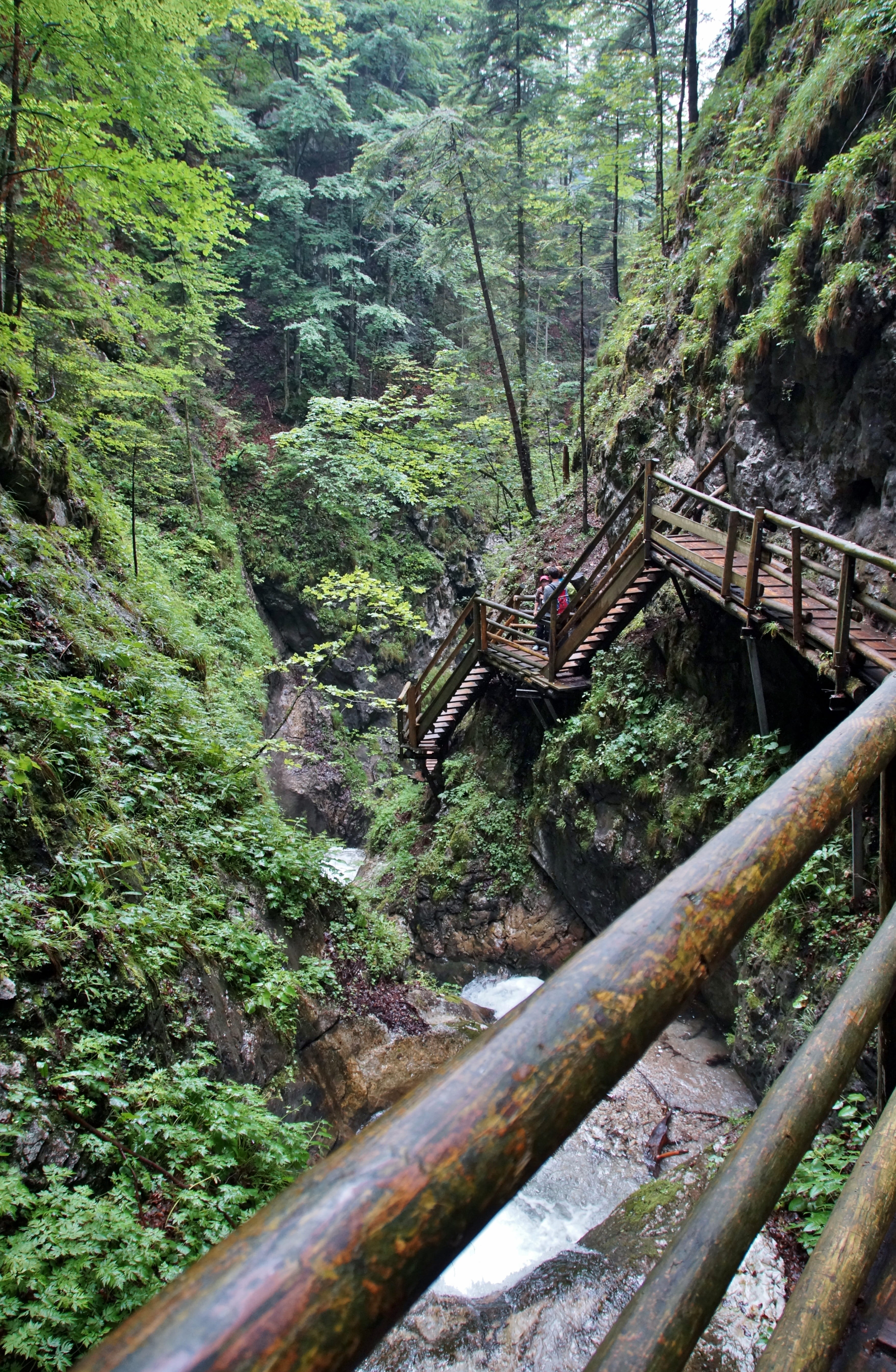 land, stairs, alps, woodland, 5K, outdoors, green color, architecture, footbridge, day, track, tranquility, growth, nature, built structure, waterfall, Phone HD Wallpaper
