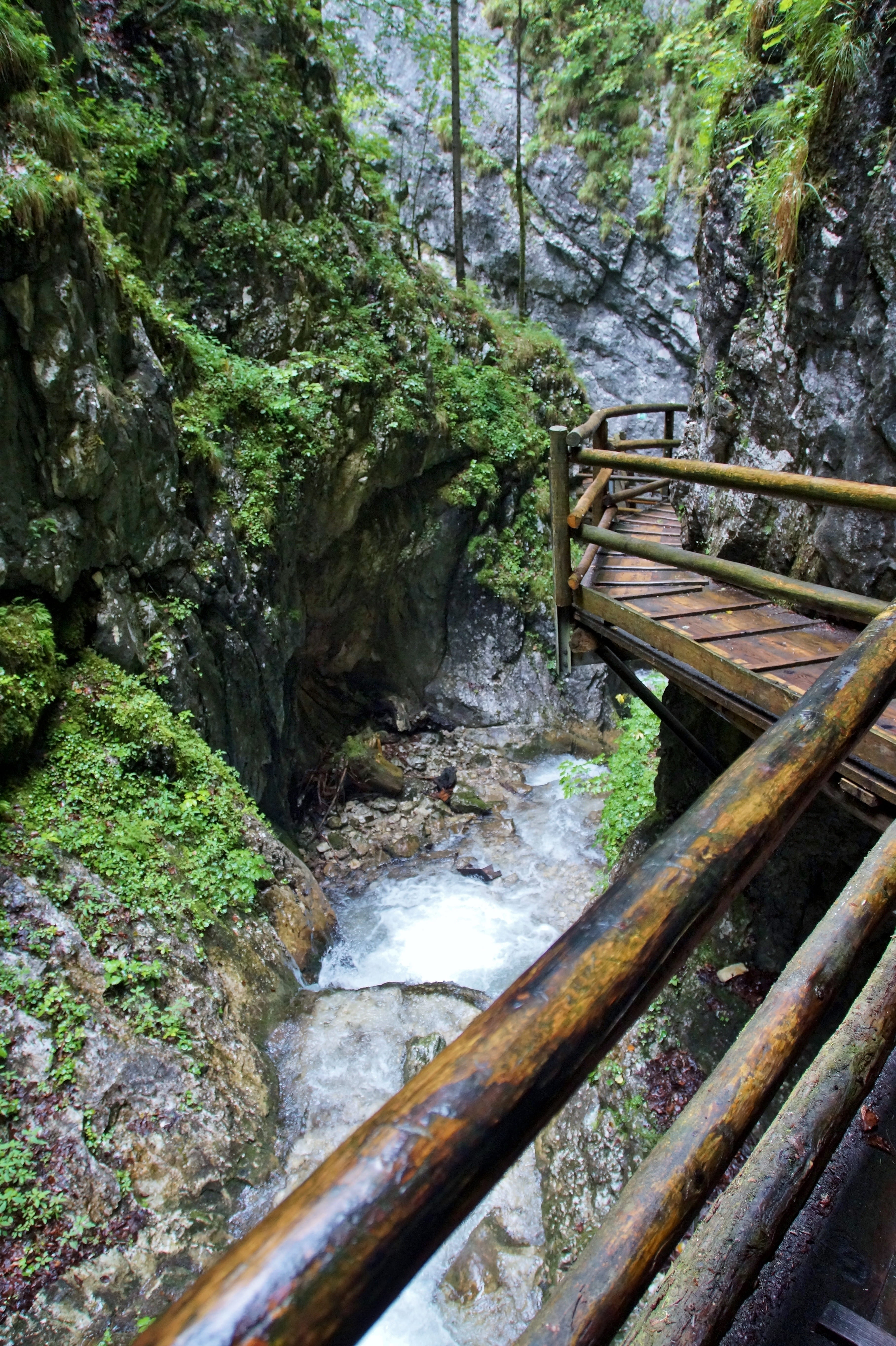 flowing, stream, summer, clear, alps, austria, spital am pyhrn, solid, wooden, forest, flowing water, defile, ladders, no people, day, long exposure, vogelgesang klamm, Phone HD Wallpaper