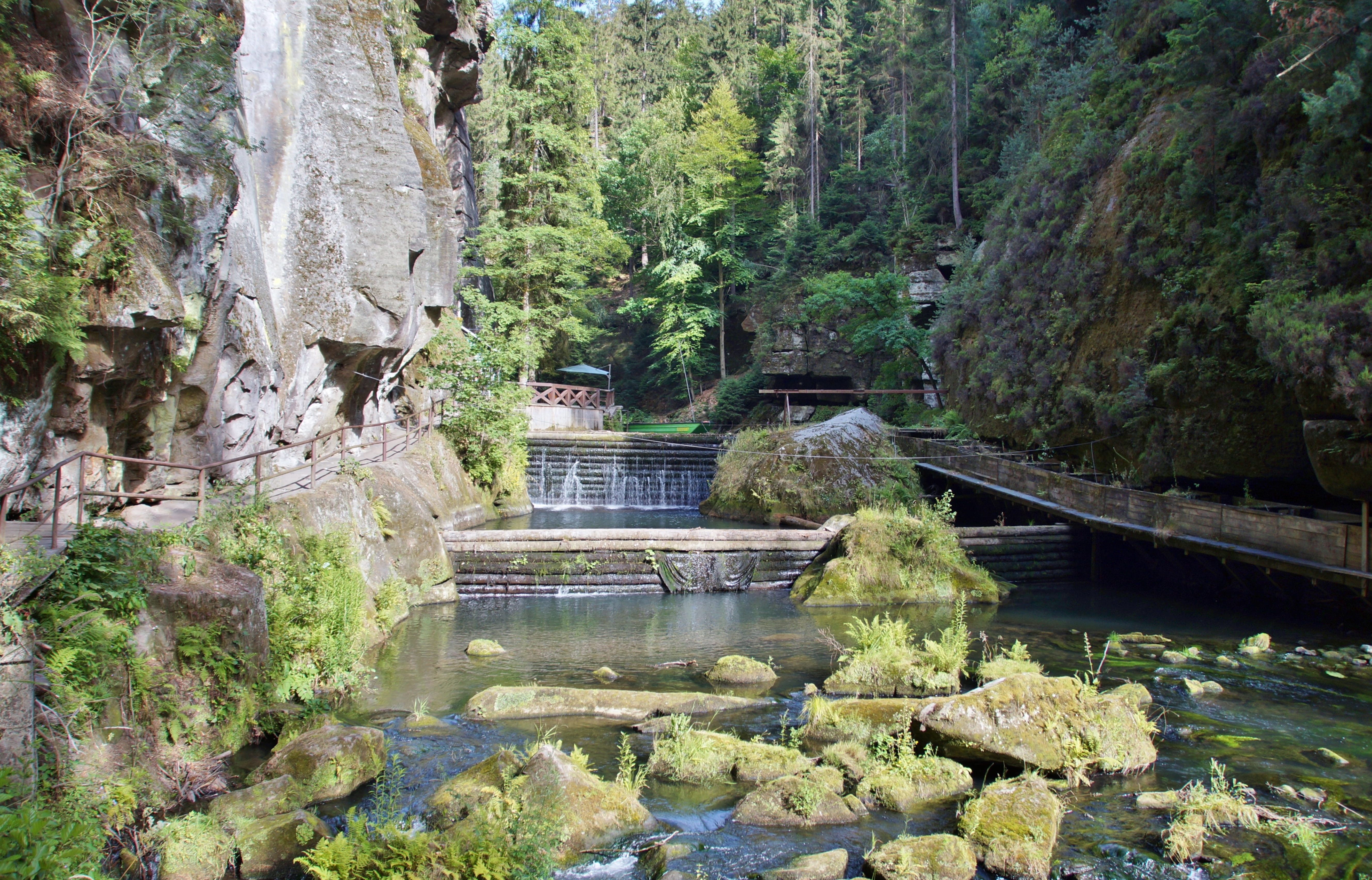 footbridge, hřensko, solid, tree, tourism, plant, flowing, flowing water, growth, architecture, czech switzerland, rock - object, bridge - man made structure, HD Wallpaper