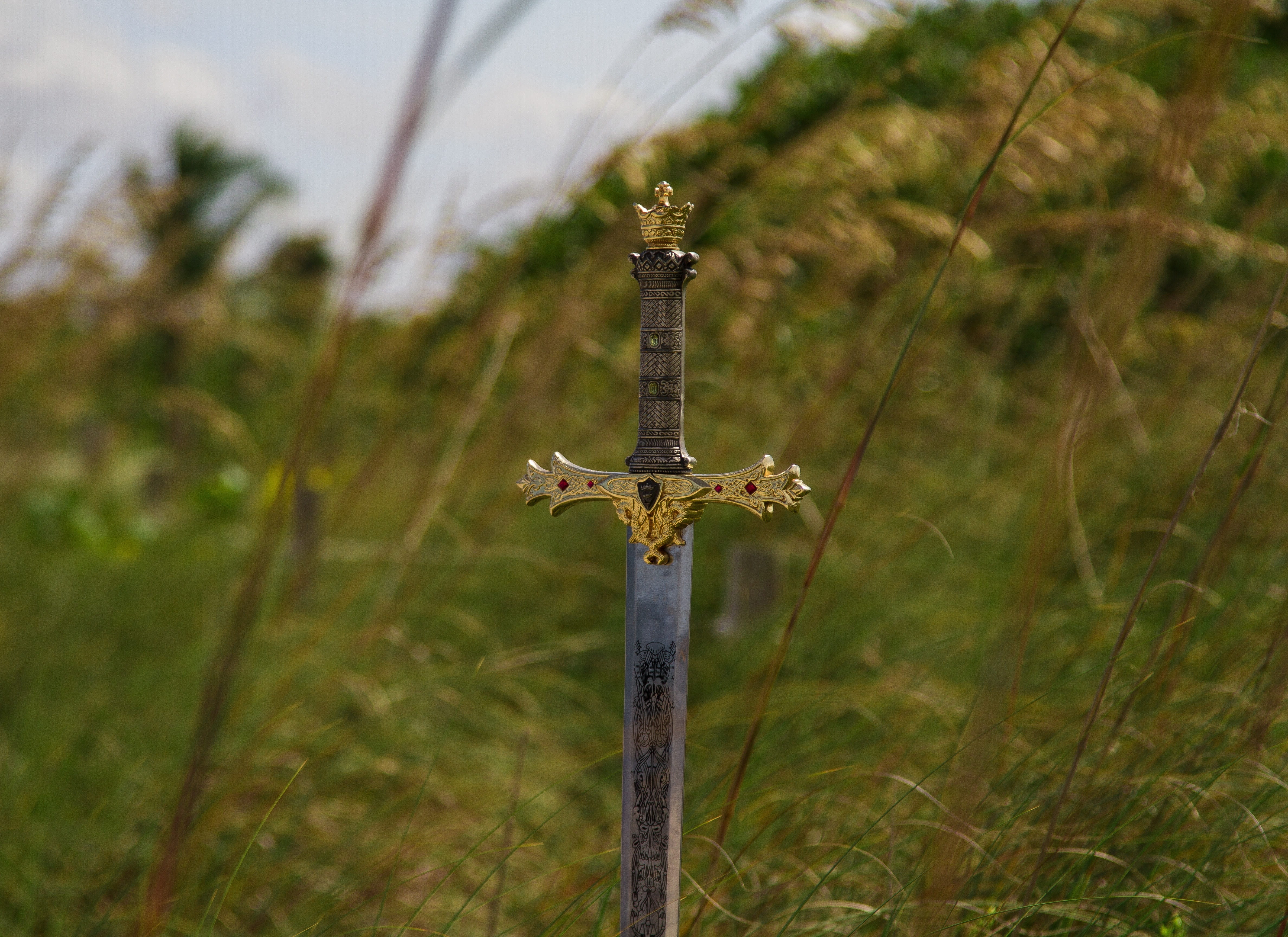 icon, protection, nature, sharp, metallic, wire, symbol, meadow, iron, weapon, security, outdoors, power, boundary, design, animal, vintage, focus on foreground, HD Wallpaper