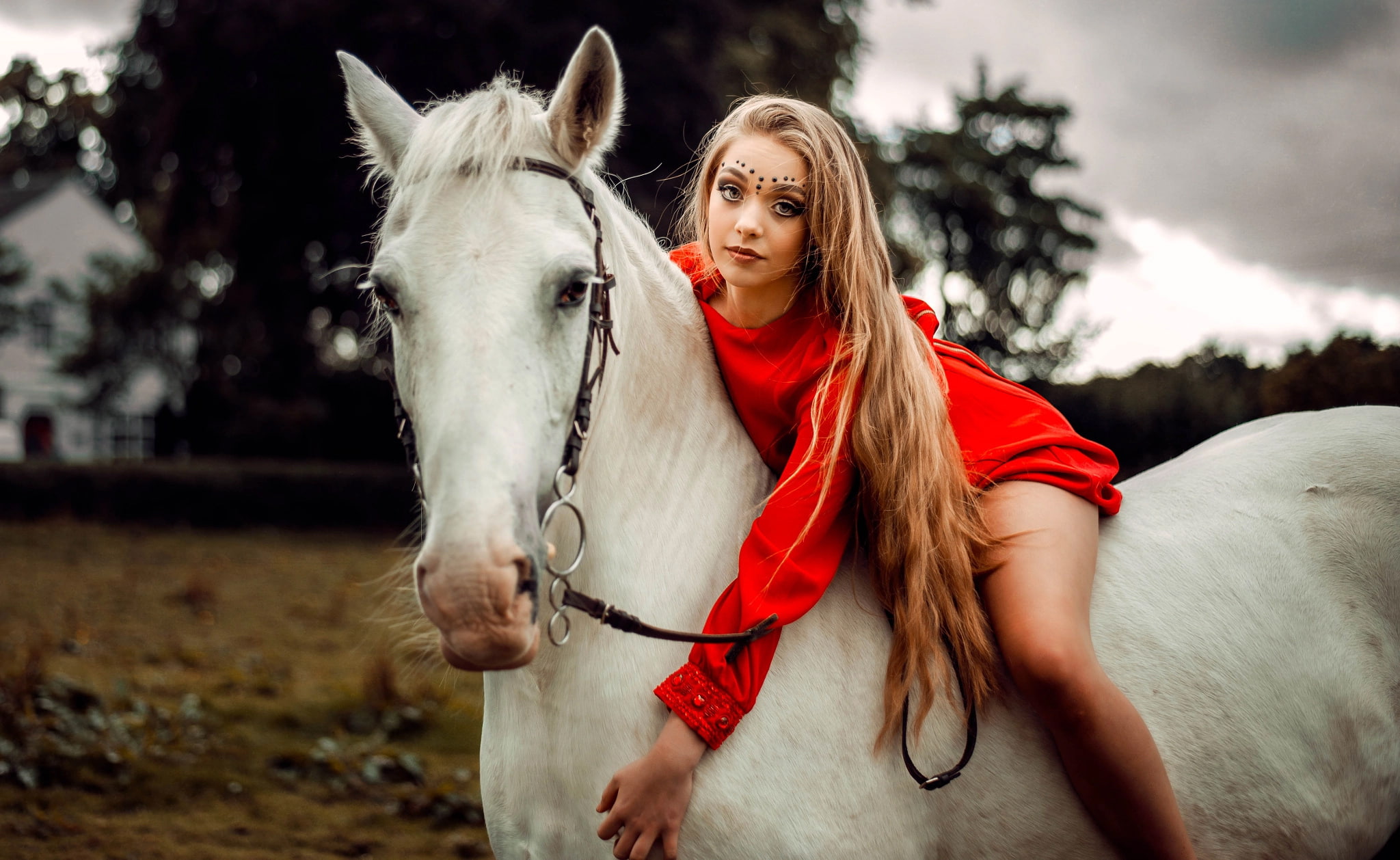 bridle, teenager, outdoors, animal wildlife, domestic animals, livestock, vertebrate, long hair, one animal, portrait, blond hair, mammal, domestic, white color, HD Wallpaper