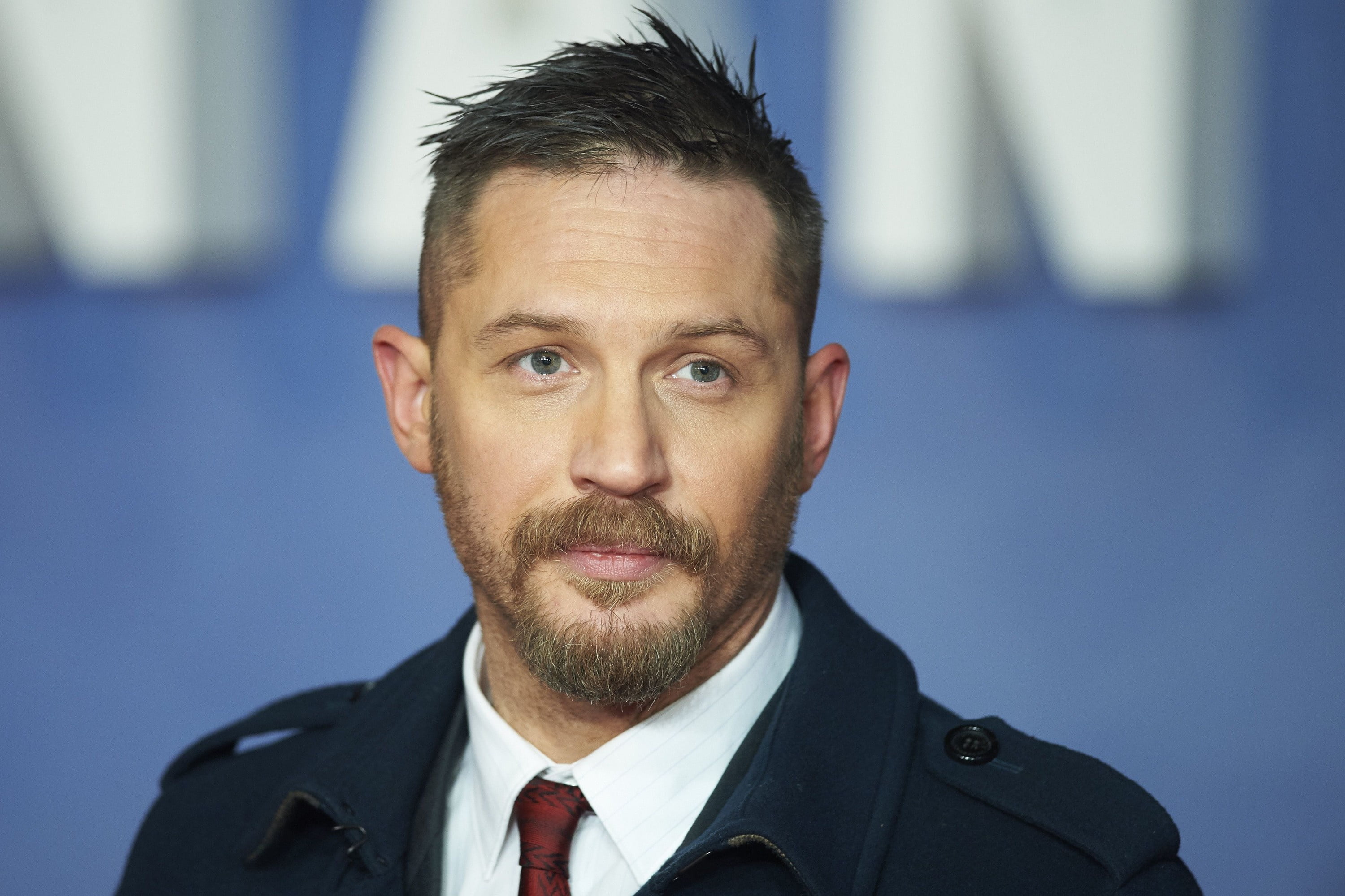film producer, photoshoot, beard, writer, pose, 2K, actor, look, Tom Hardy, HD Wallpaper