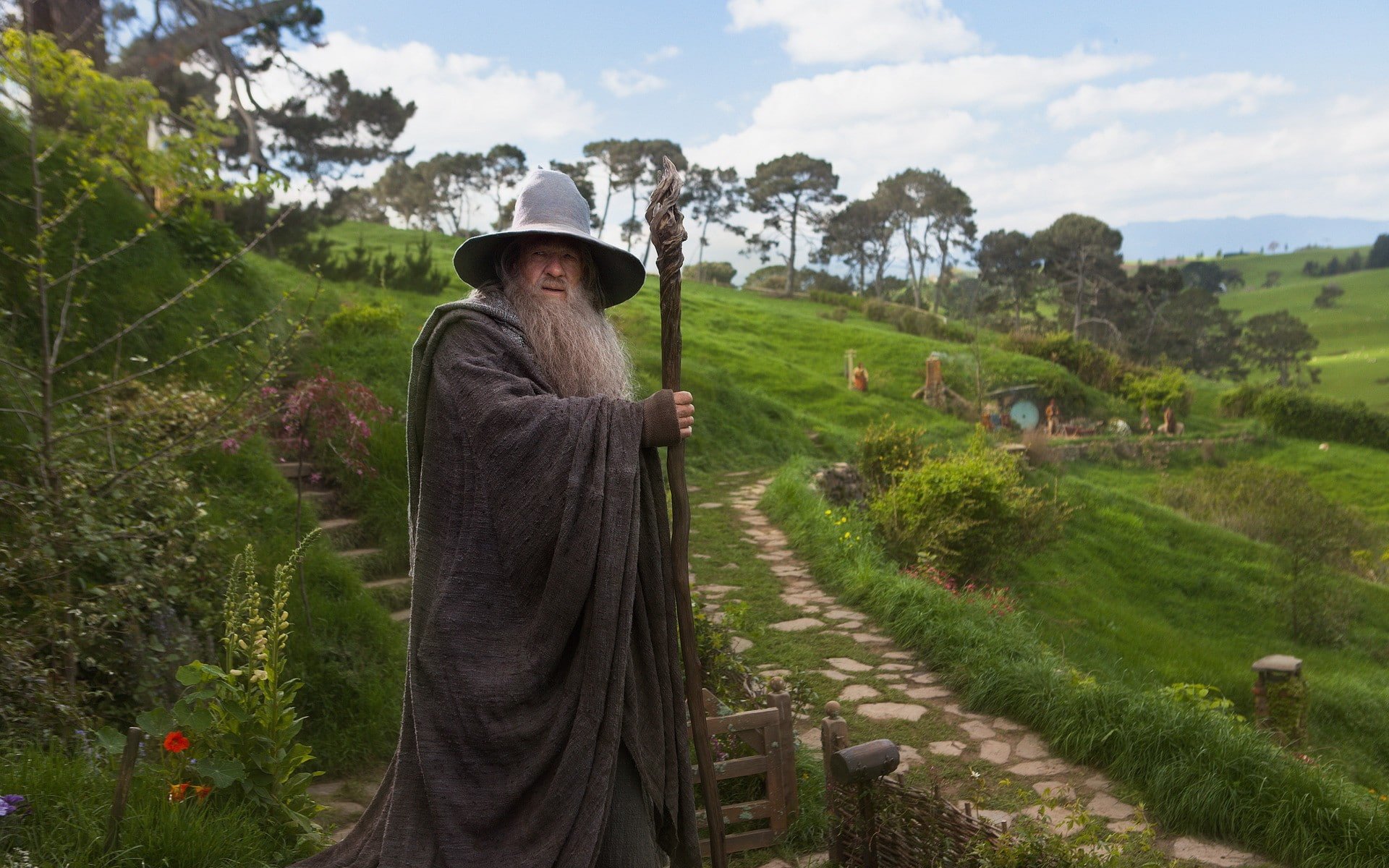 wizards, 1080P, mckellen, lord, ian, rings, gandalf, hobbit, HD Wallpaper