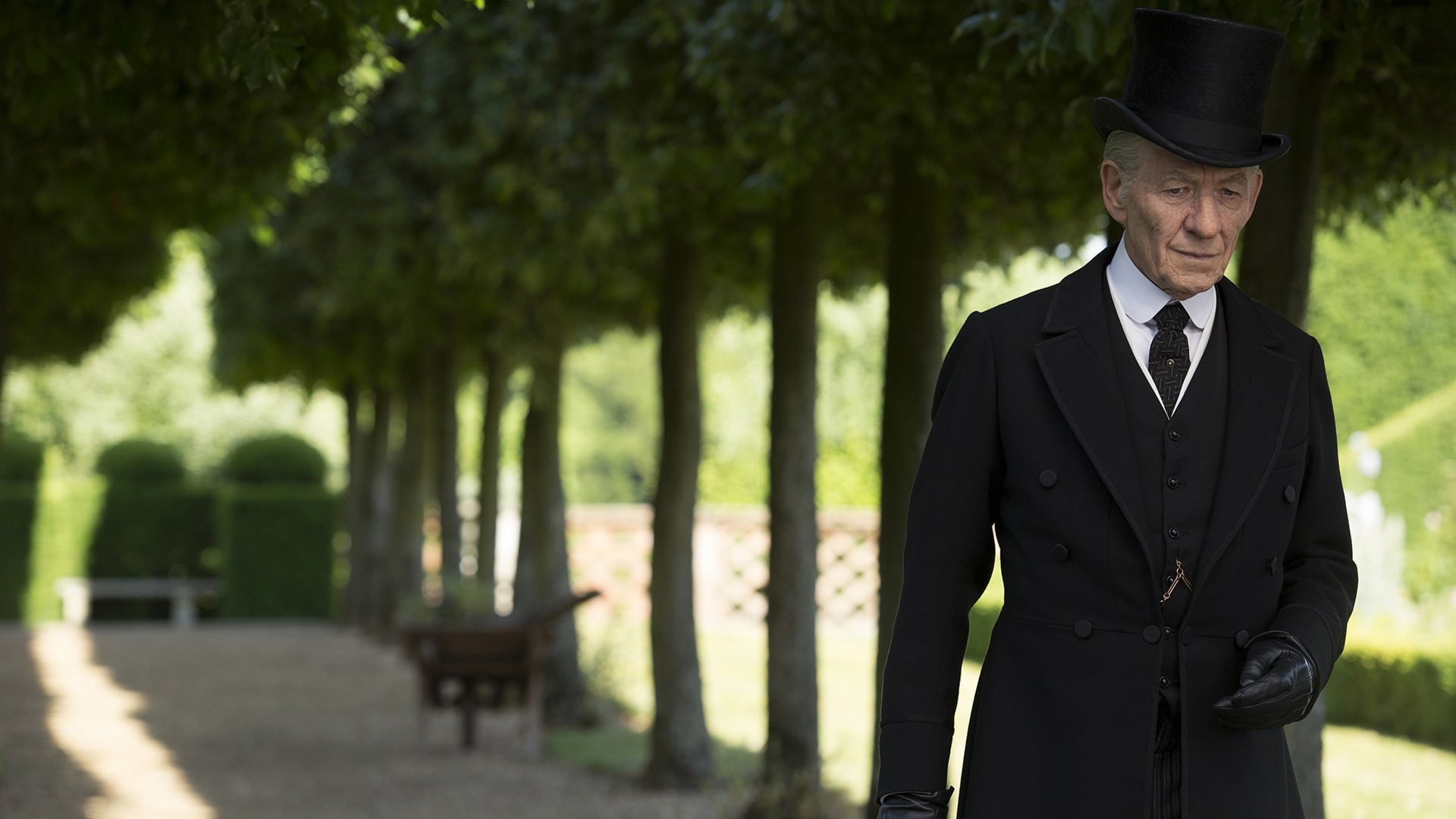 Ian McKellen, Movie, Mr. Holmes, 1080P, HD Wallpaper
