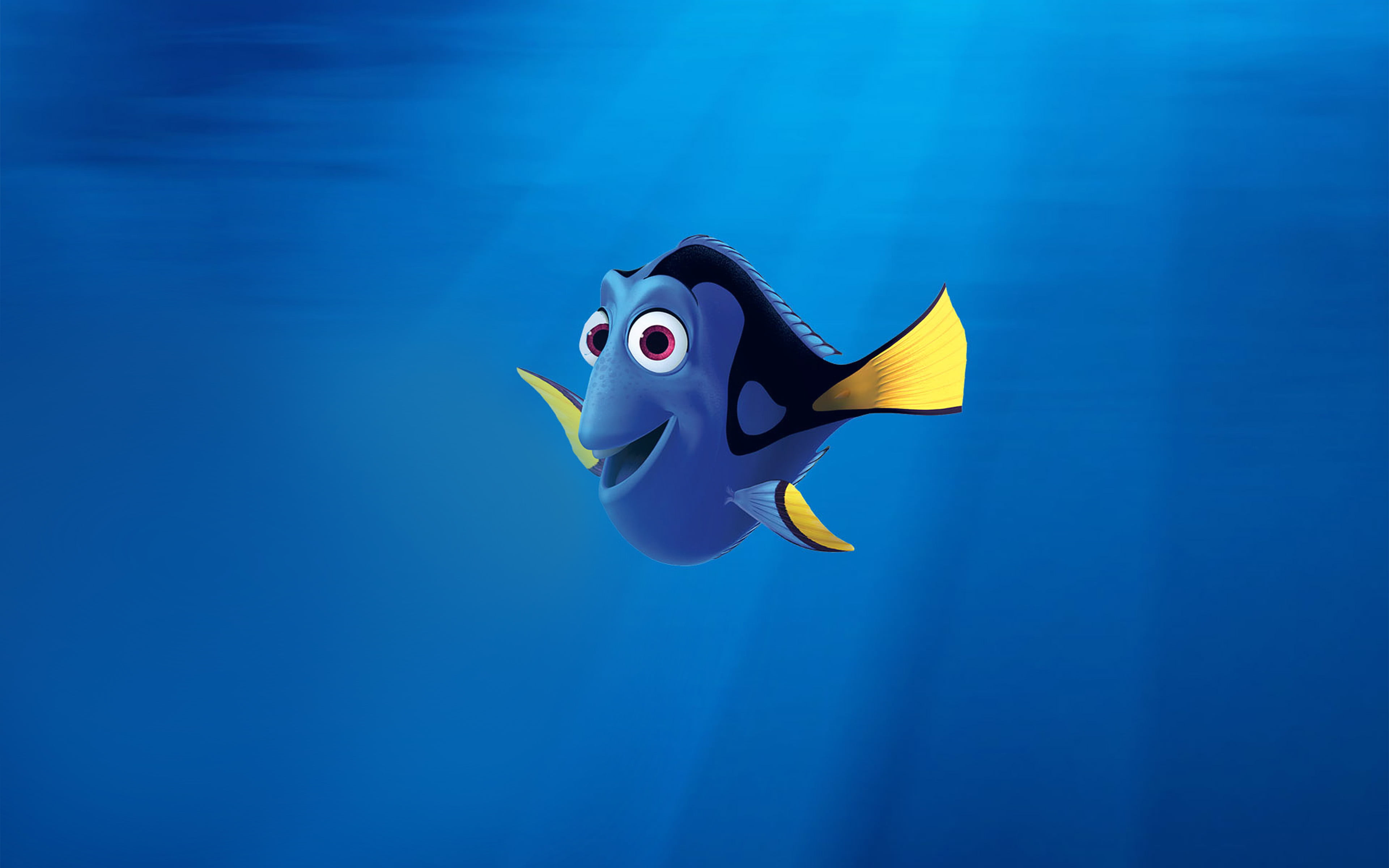 plastic, disney, swimming, copy space, animal, 4K, fish, no people, representation, toy, dory, blue background, undersea, sea, finding, water, underwater, HD Wallpaper