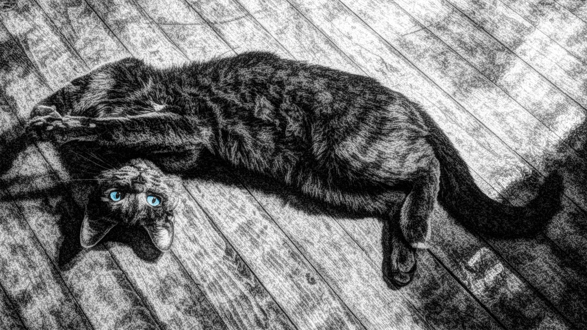 cultures, canine, retro Styled, pets, mammal, lying, old, domestic, brown, engraving, isolated On White, lying down, engraved Image, animal Themes, 1080P, HD Wallpaper
