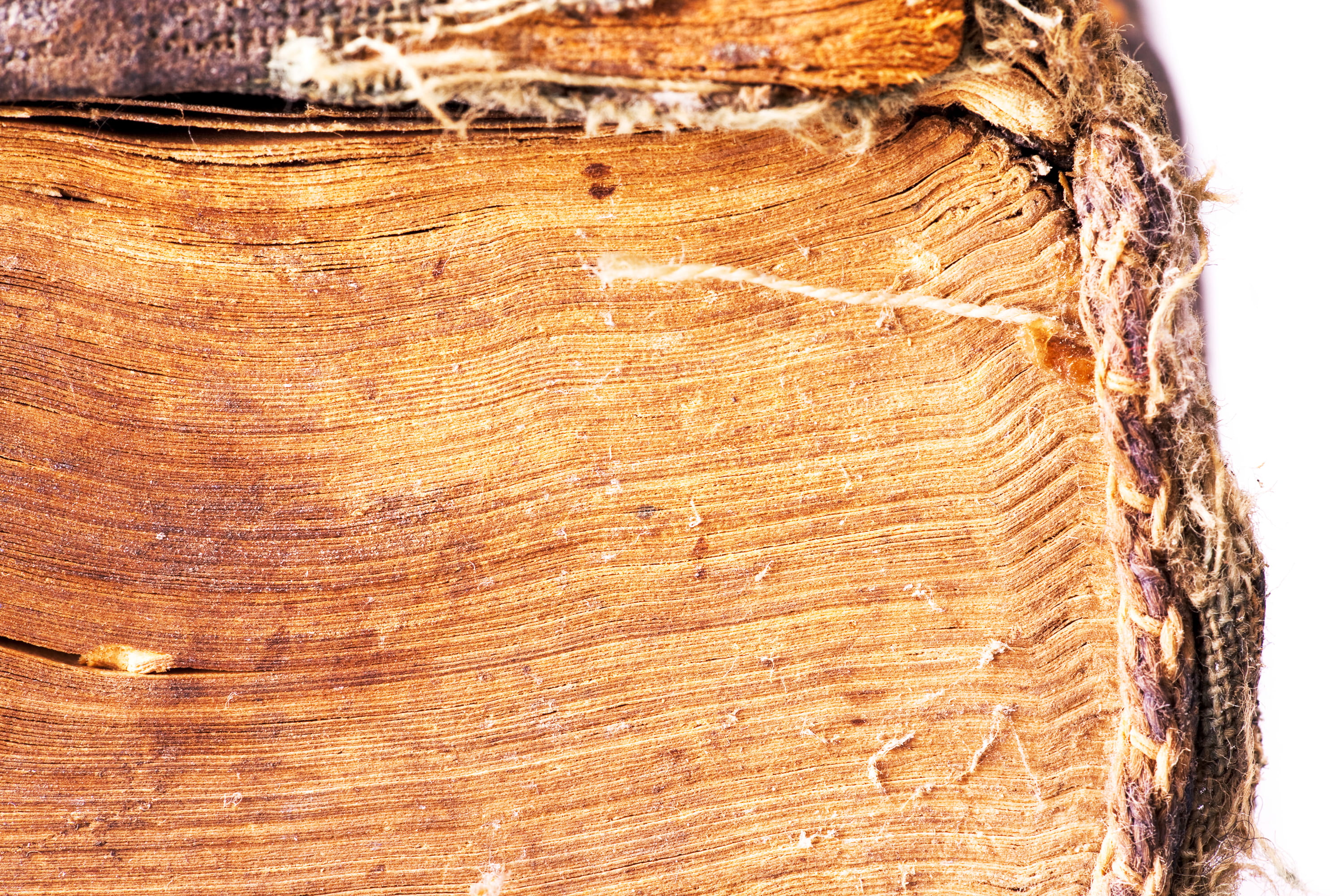 antique, full frame, close-up, brown, no people, texture, 2K, pages, front, plant bark, retro, material, rough, information, trunk, grunge, ancient, bark, HD Wallpaper