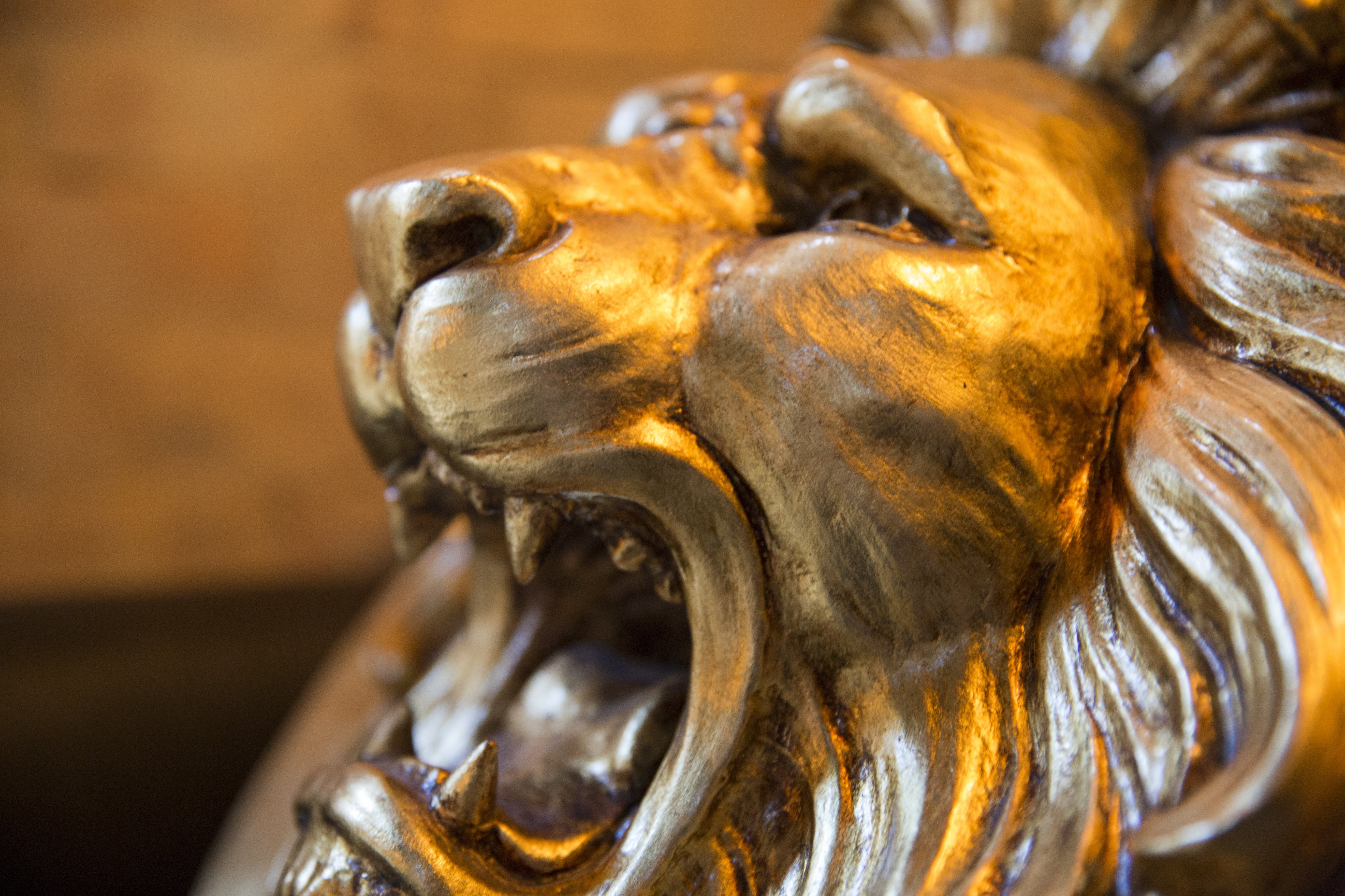 representation, sculpture, statue, male likeness, focus on foreground, 5K, close-up, bronze - alloy, human representation, light, history, lion, no people, HD Wallpaper
