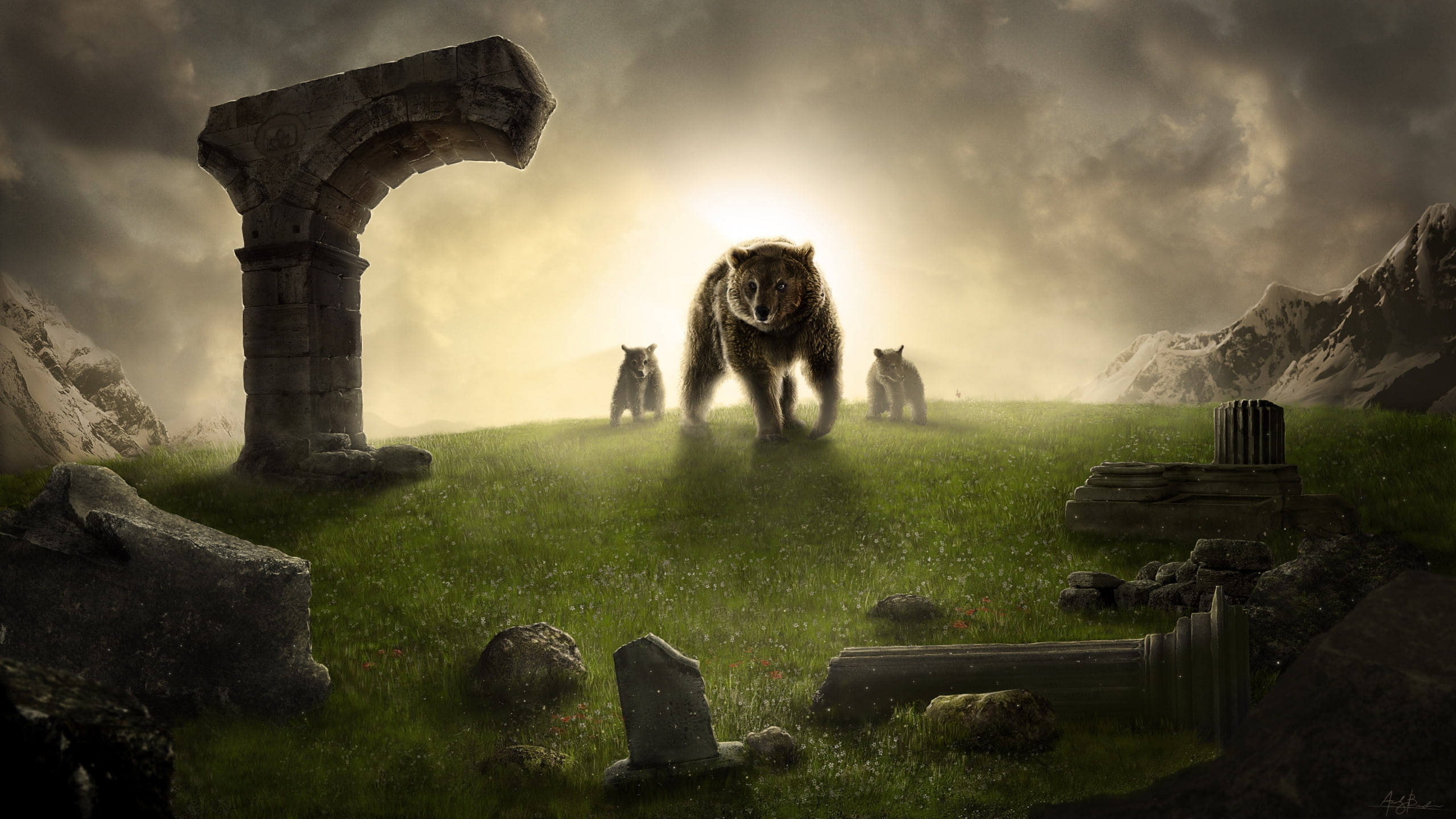 bear, 2K, king, return, HD Wallpaper