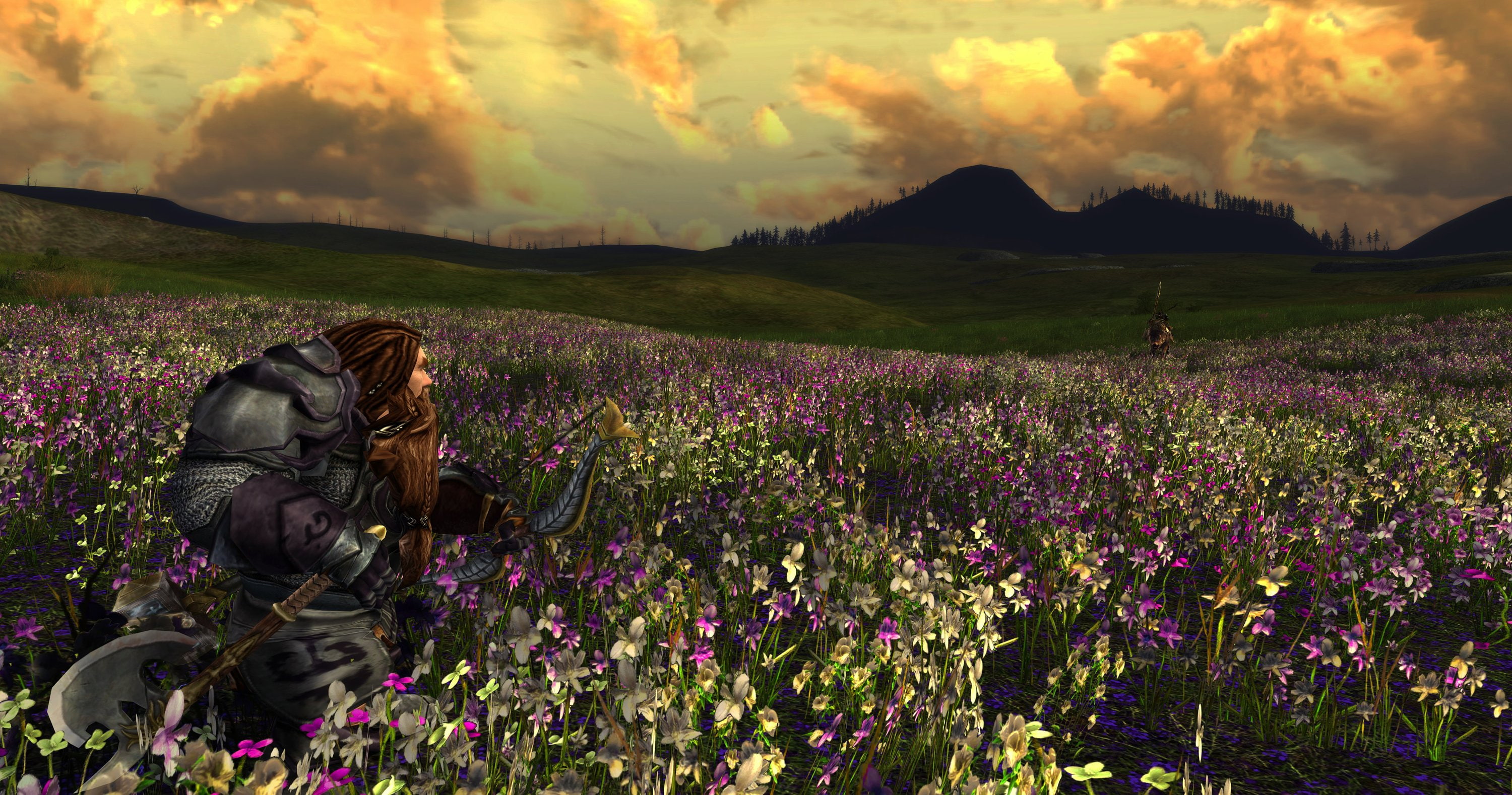 game, action, lord of the rings online, mmo, fantasy, lotr, rings, adventure, lord, online, 2K, HD Wallpaper