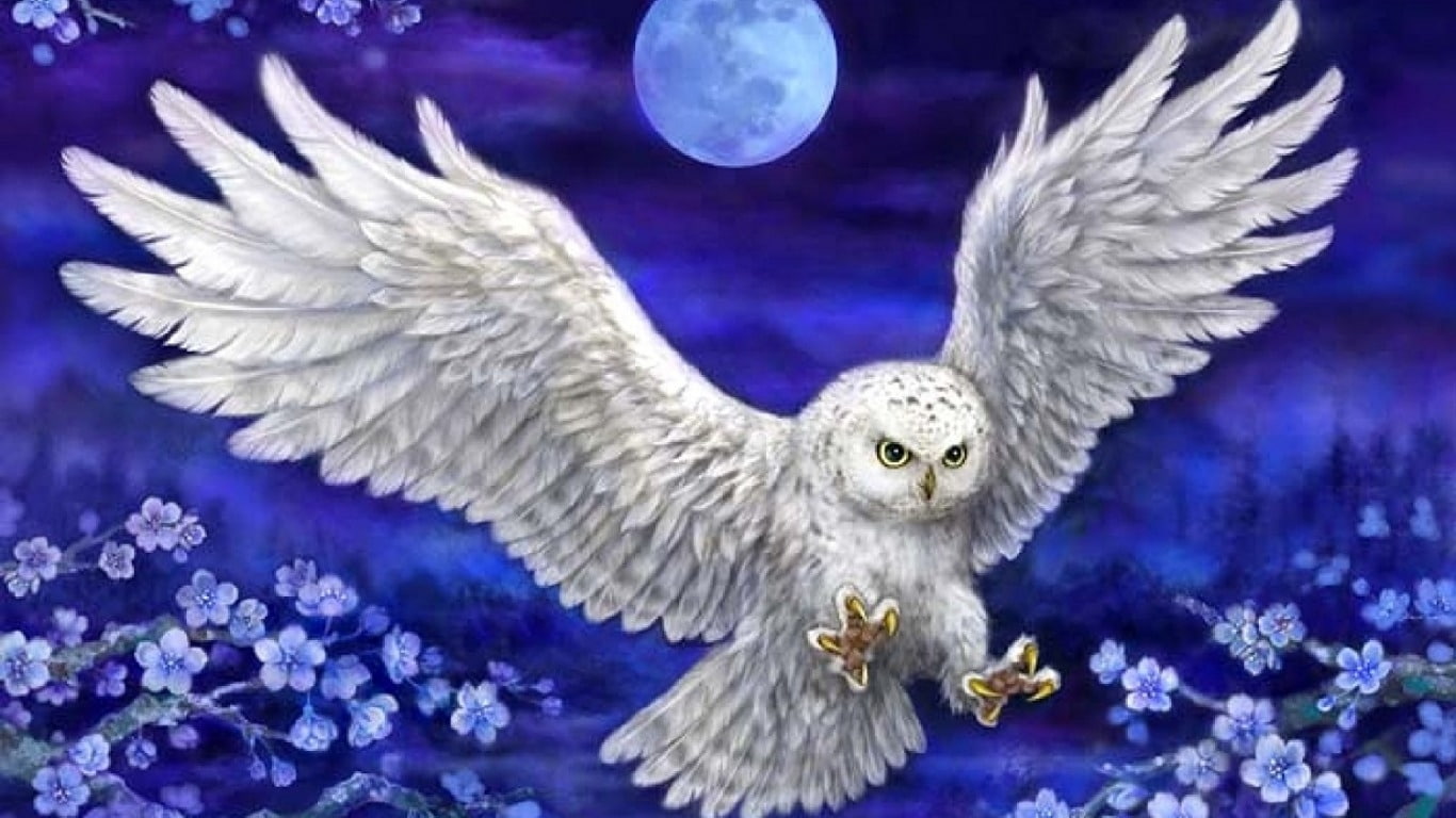 freedom, innocence, bird, symbols of peace, animal wildlife, spread wings, beauty in nature, religion, vertebrate, one animal, Blau, animals in the wild, HD Wallpaper