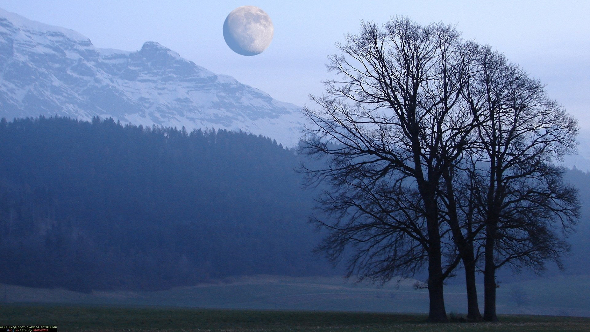Trees, Mountain, 1080P, Mond, Tree, HD Wallpaper