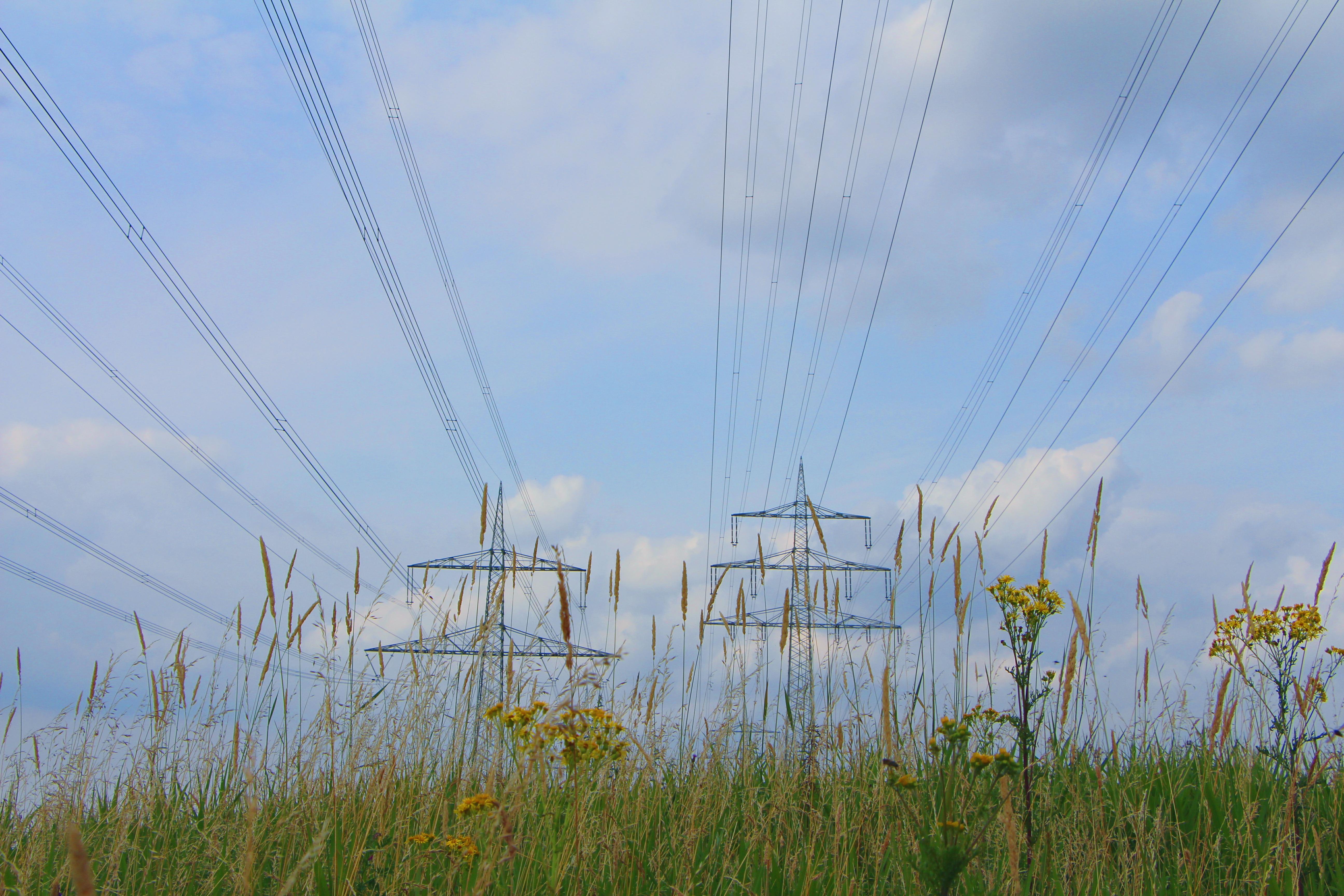 water, outdoors, landscape, day, cloud - sky, fuel and power generation, tranquility, electricity pylon, cable, connection, nature, grass, plant, tranquil scene, HD Wallpaper