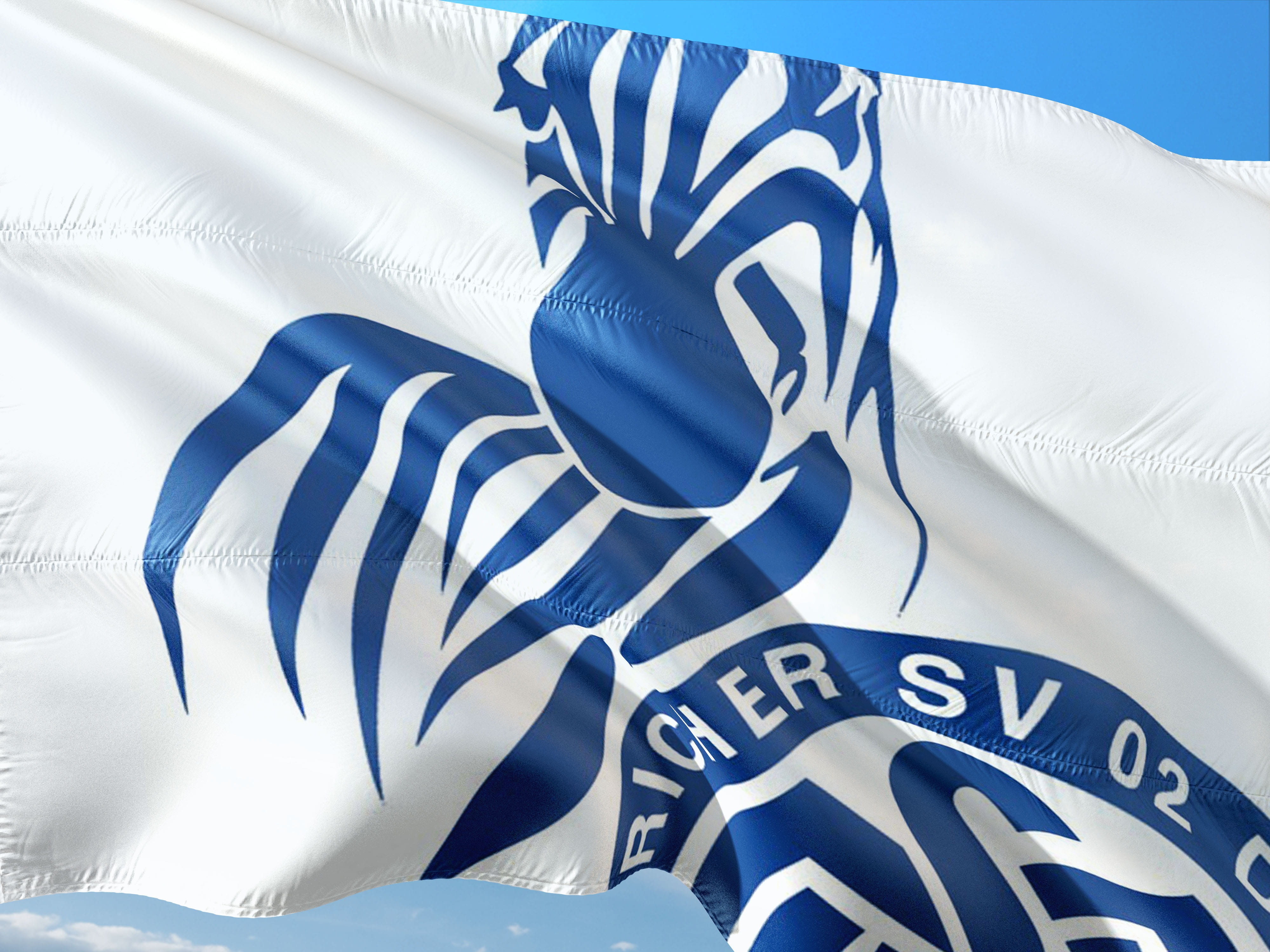 patriotism, group of objects, leisure activity, no people, logo, nature, blue, sport, close-up, competition, flag, indoors, zebras, textile, 4K, white color, HD Wallpaper