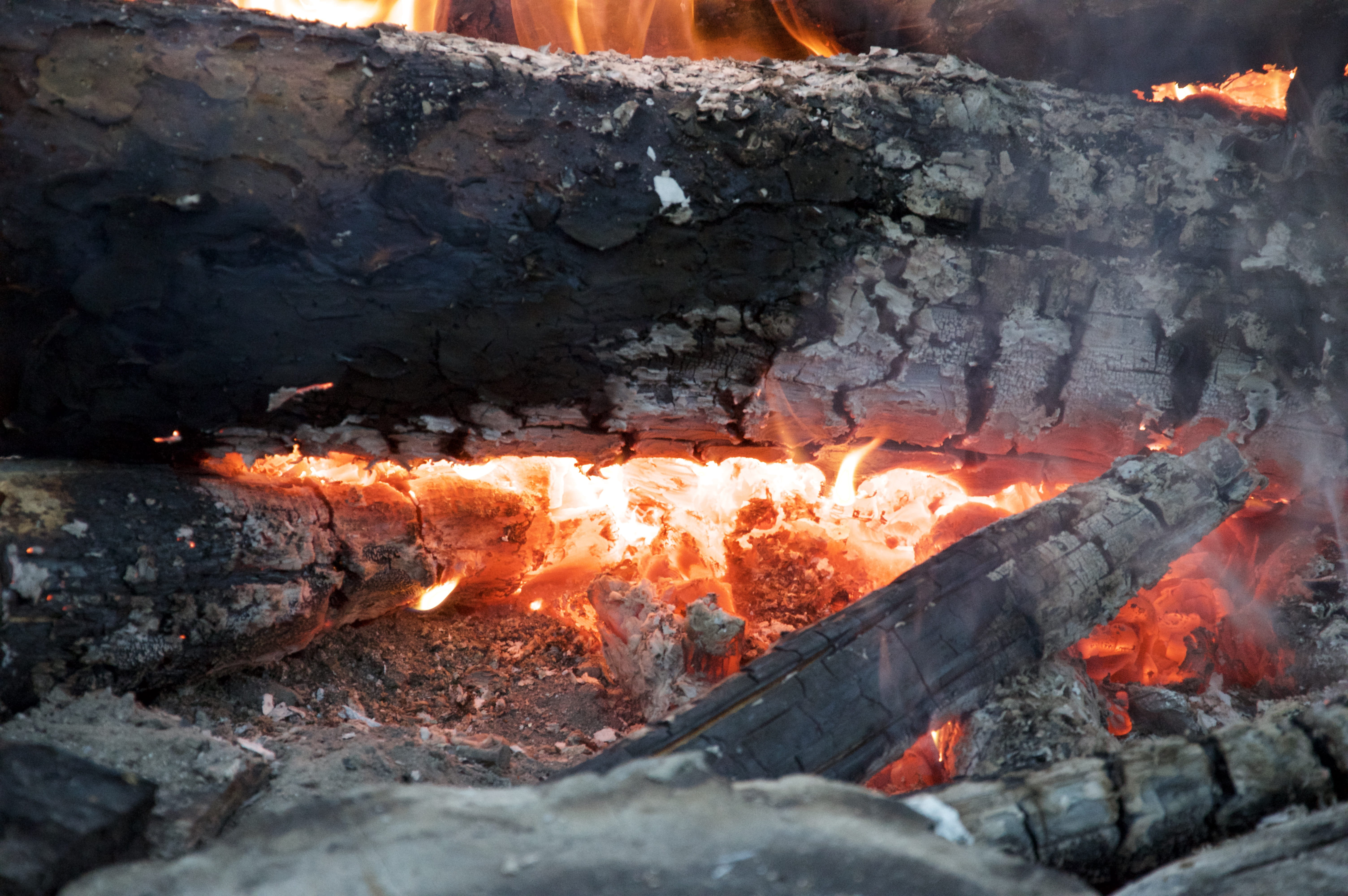 heat - temperature, hot, fire, environment, ash, 5K, outdoors, Campfire, Bonfire, warm, burning, Fire, Light, molten, firewood, close-up, flame, glowing, HD Wallpaper
