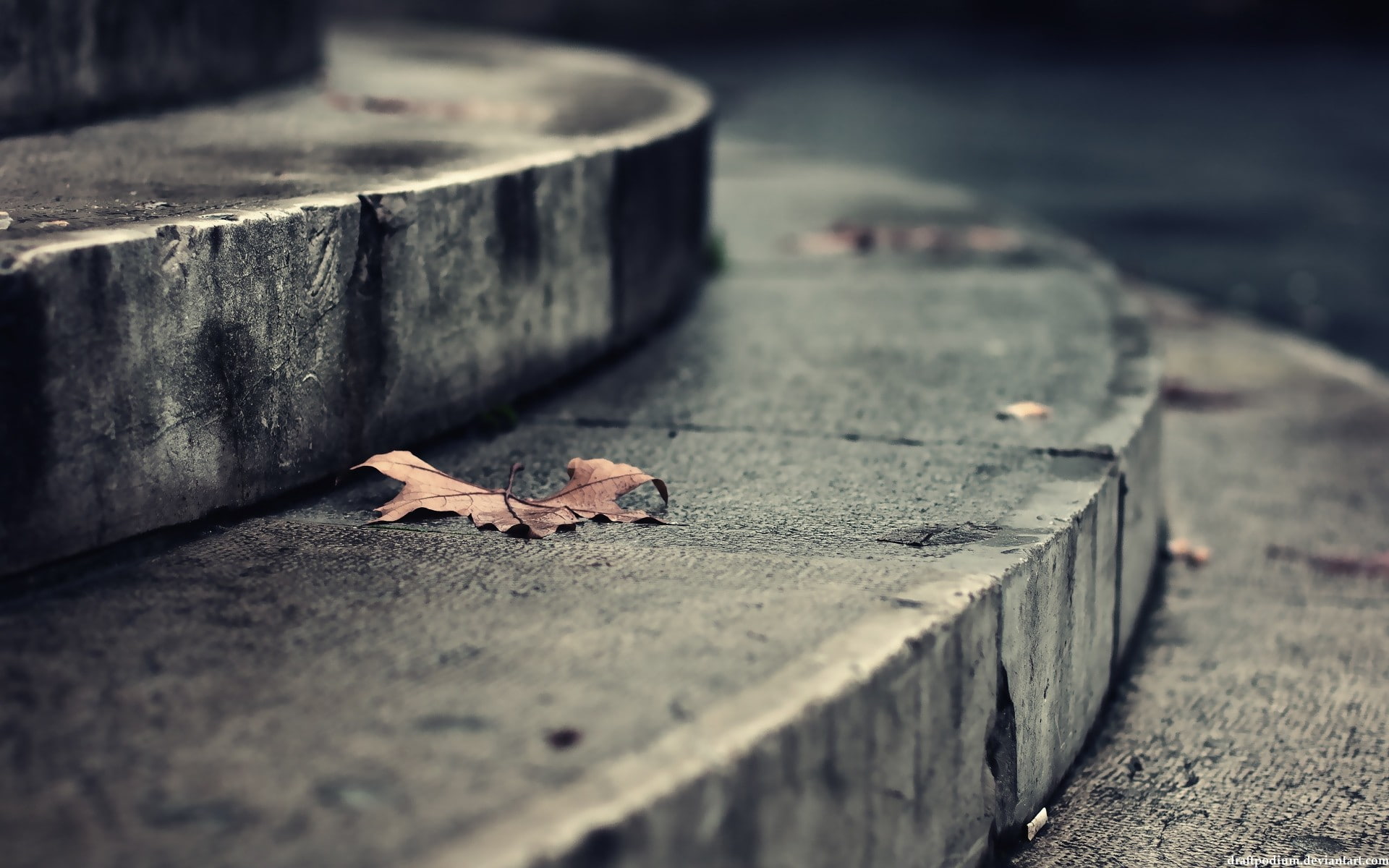 concrete, leaves, stairs, 1080P, steps, HD Wallpaper