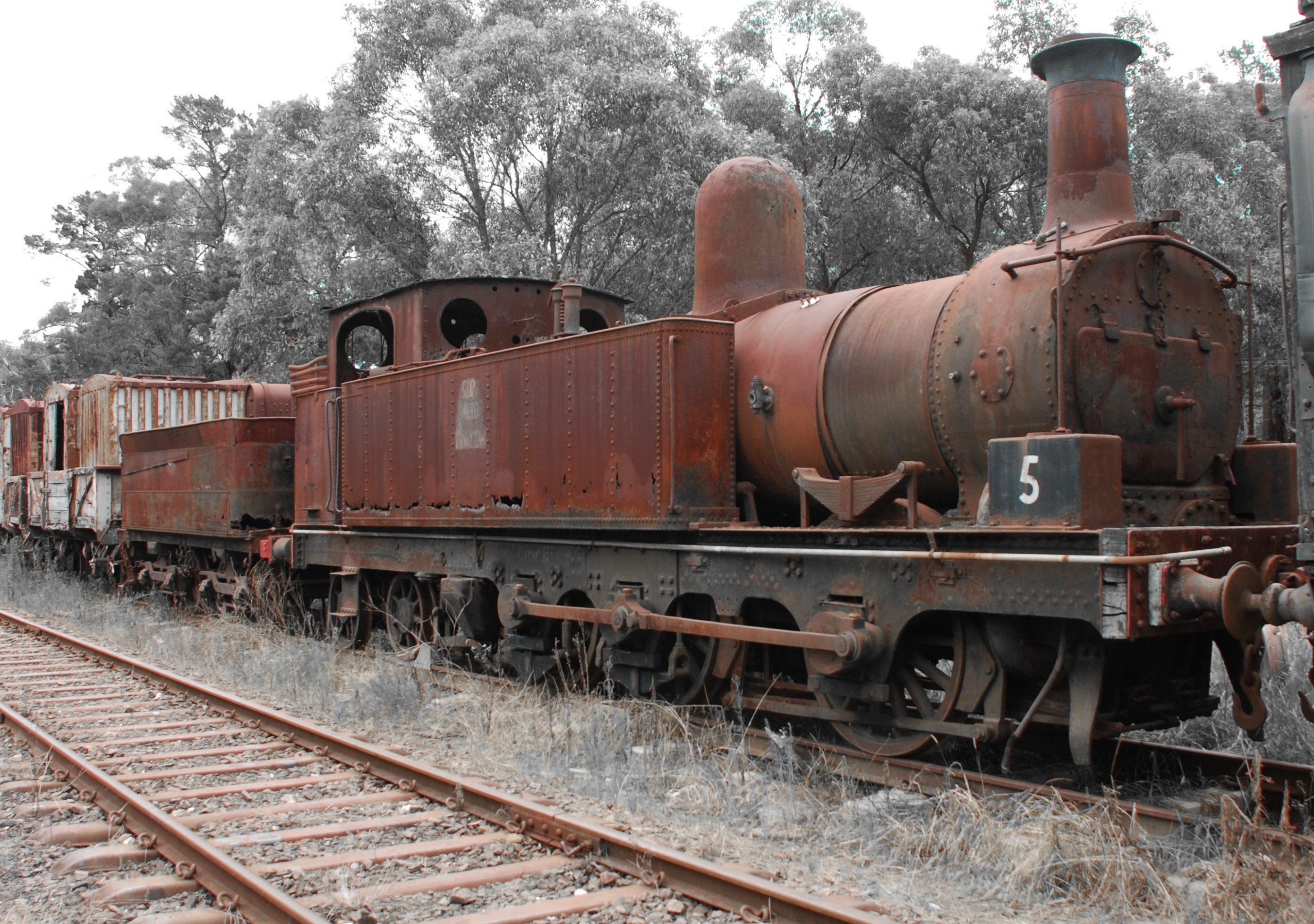 brown, vehicle, old, day, metal, railway, shunting yard, steam, transportation, engine, rusty, train - vehicle, steam Train, 2K, plant, no people, mode of Transport, HD Wallpaper