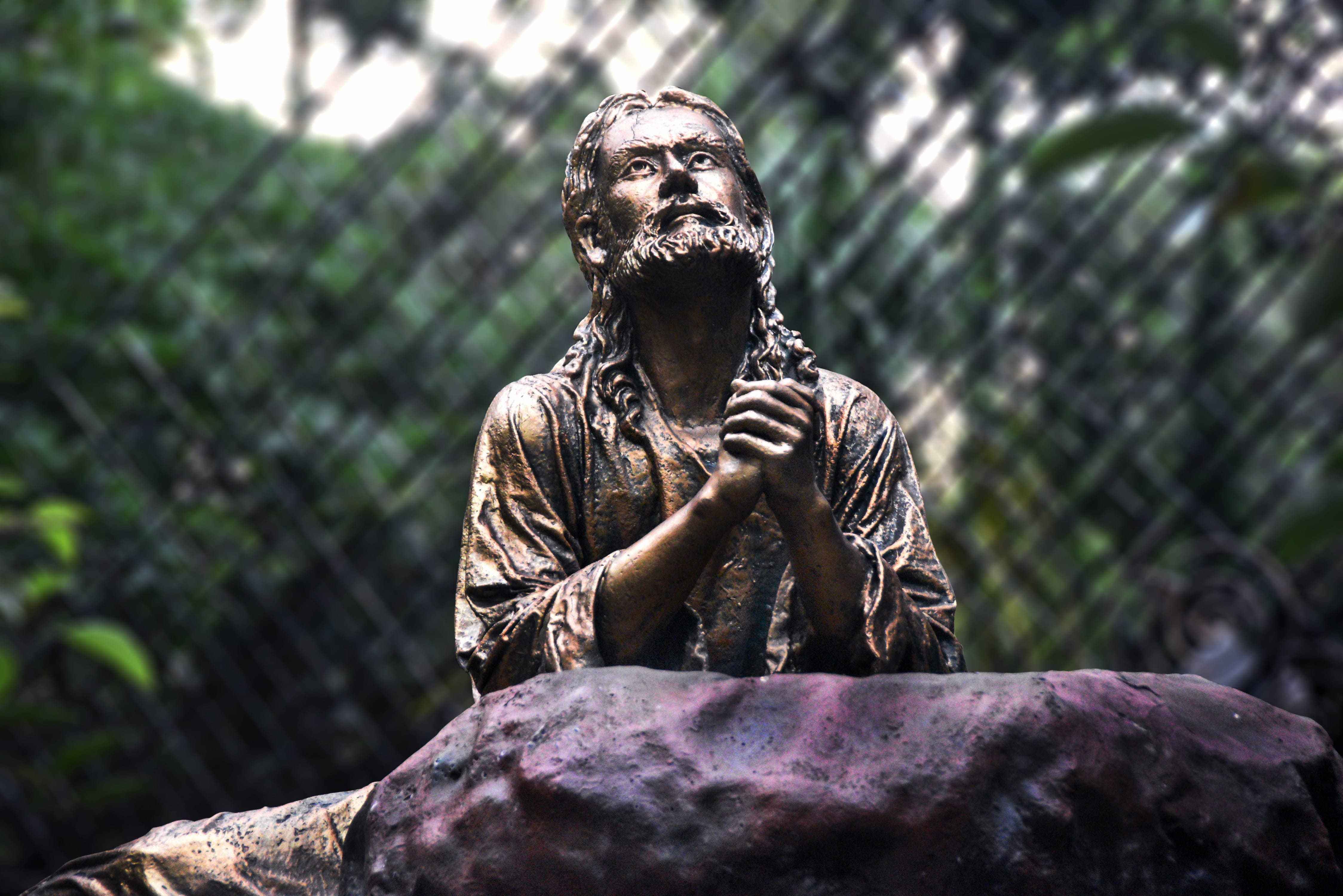 focus on foreground, representation, outdoors, male likeness, art and craft, one animal, day, Praying, christ praying, rock - object, animal wildlife, nature, HD Wallpaper