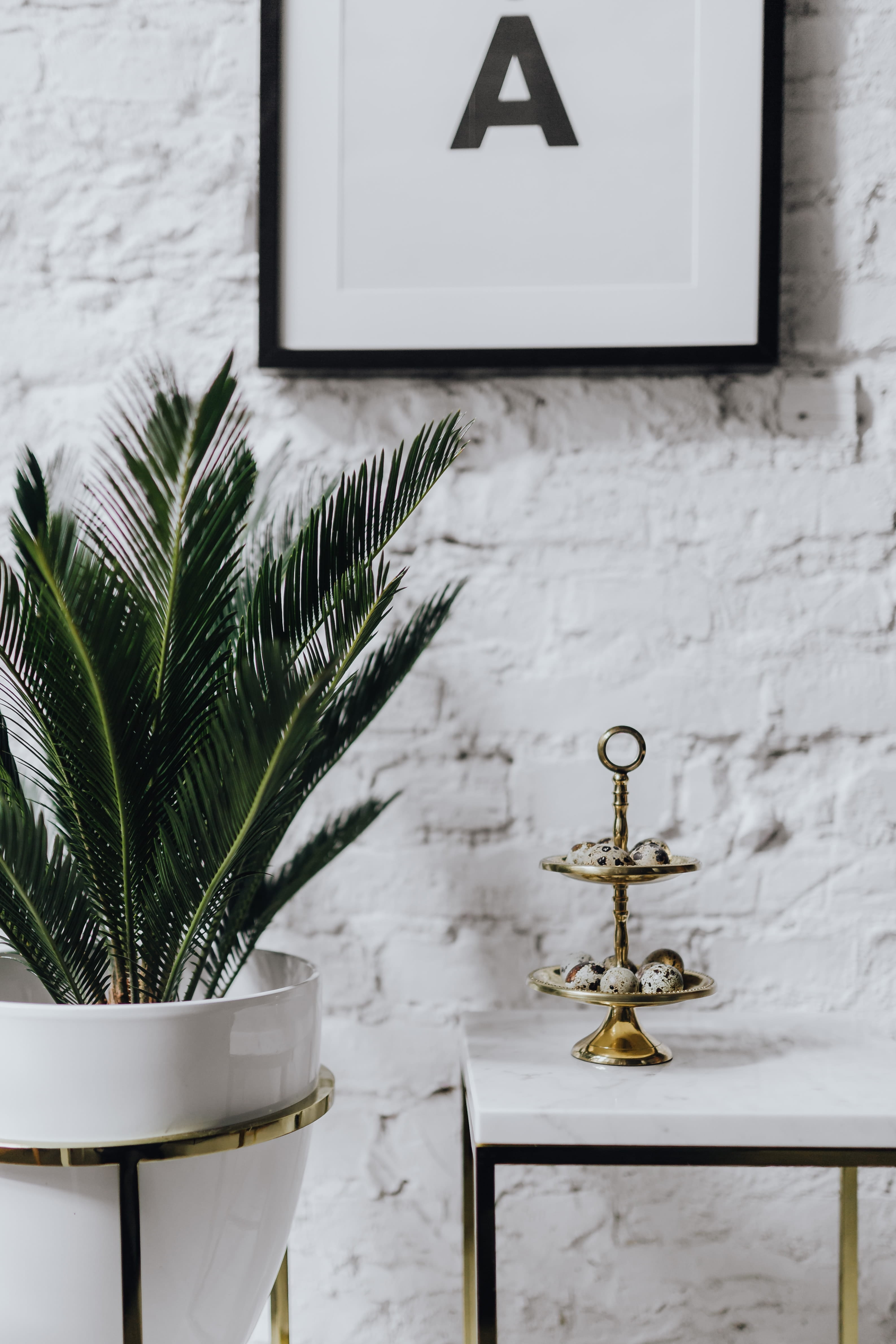 plant, 4K, architecture, leaf, table, potted plant, white, no people, nature, communication, still life, day, frame, indoors, Uncommon, wall - building feature, Phone HD Wallpaper