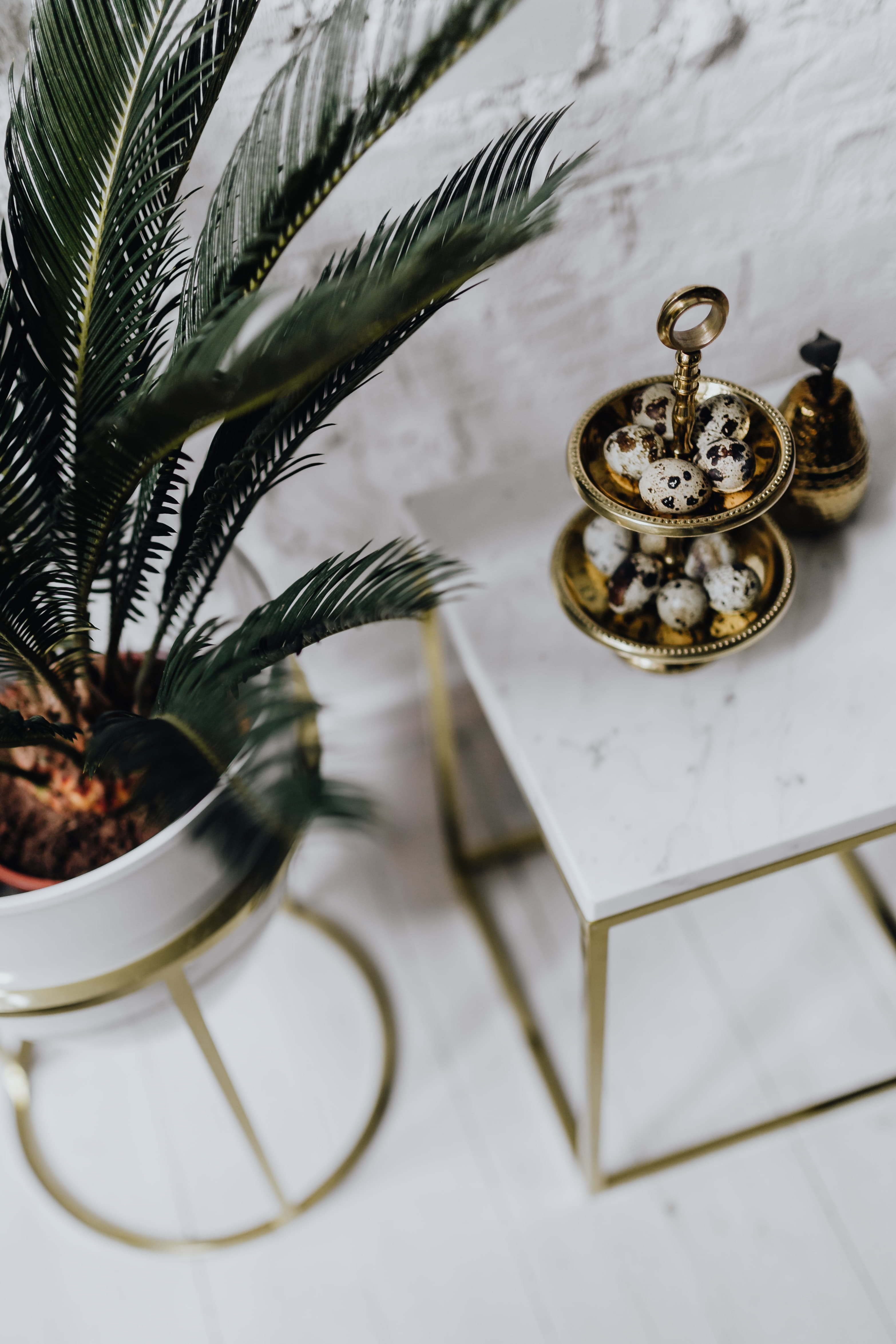 easter, no people, high angle view, crockery, white, eggs, time, uncommon, clock, plant part, indoors, day, table, quail eggs, leaf, quail, close-up, marble, Phone HD Wallpaper