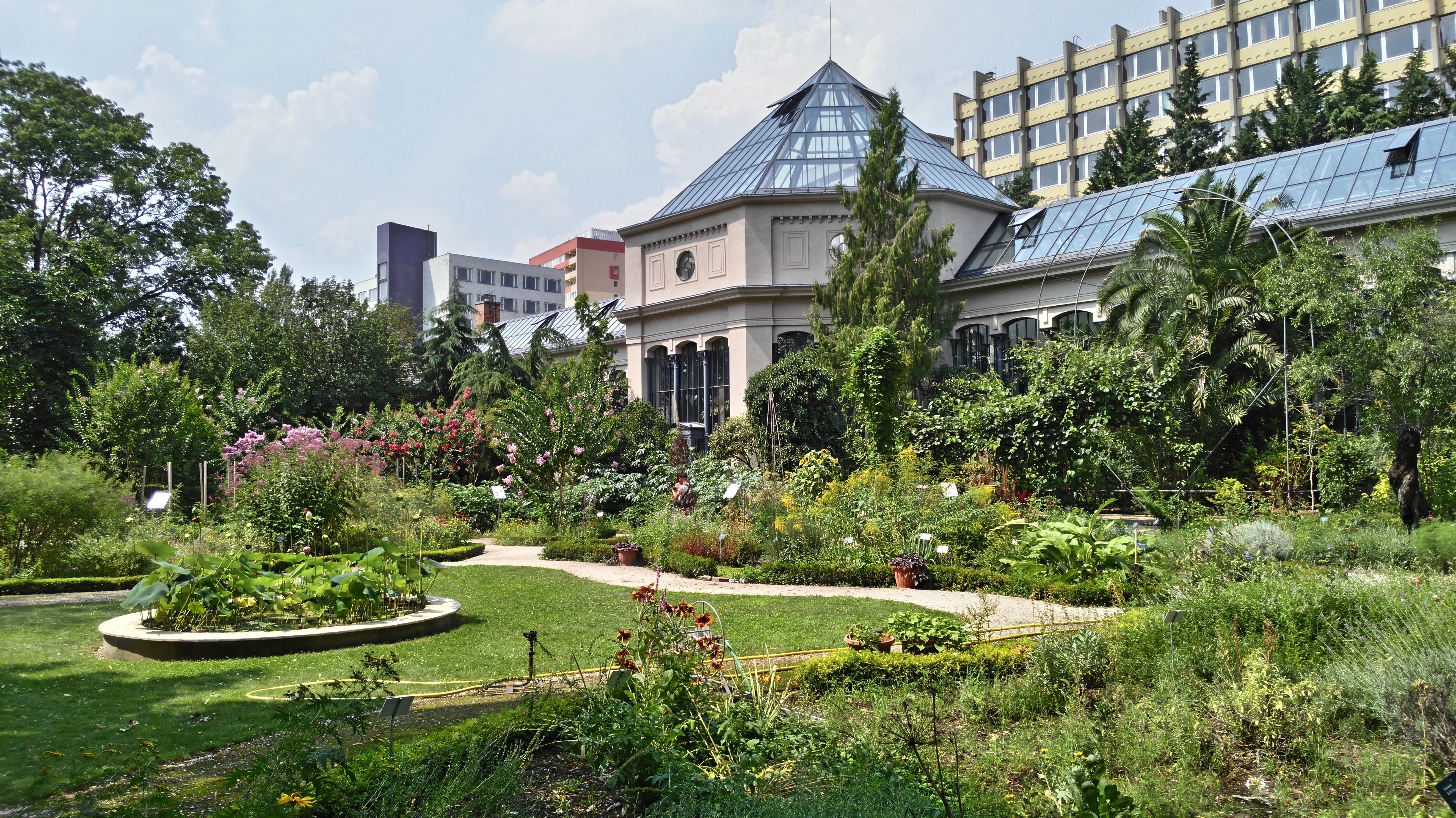 plant, jardin des plantes, building exterior, no people, front or back yard, mansion, ornamental garden, built structure, wealth, home, outdoors, luxury, HD Wallpaper