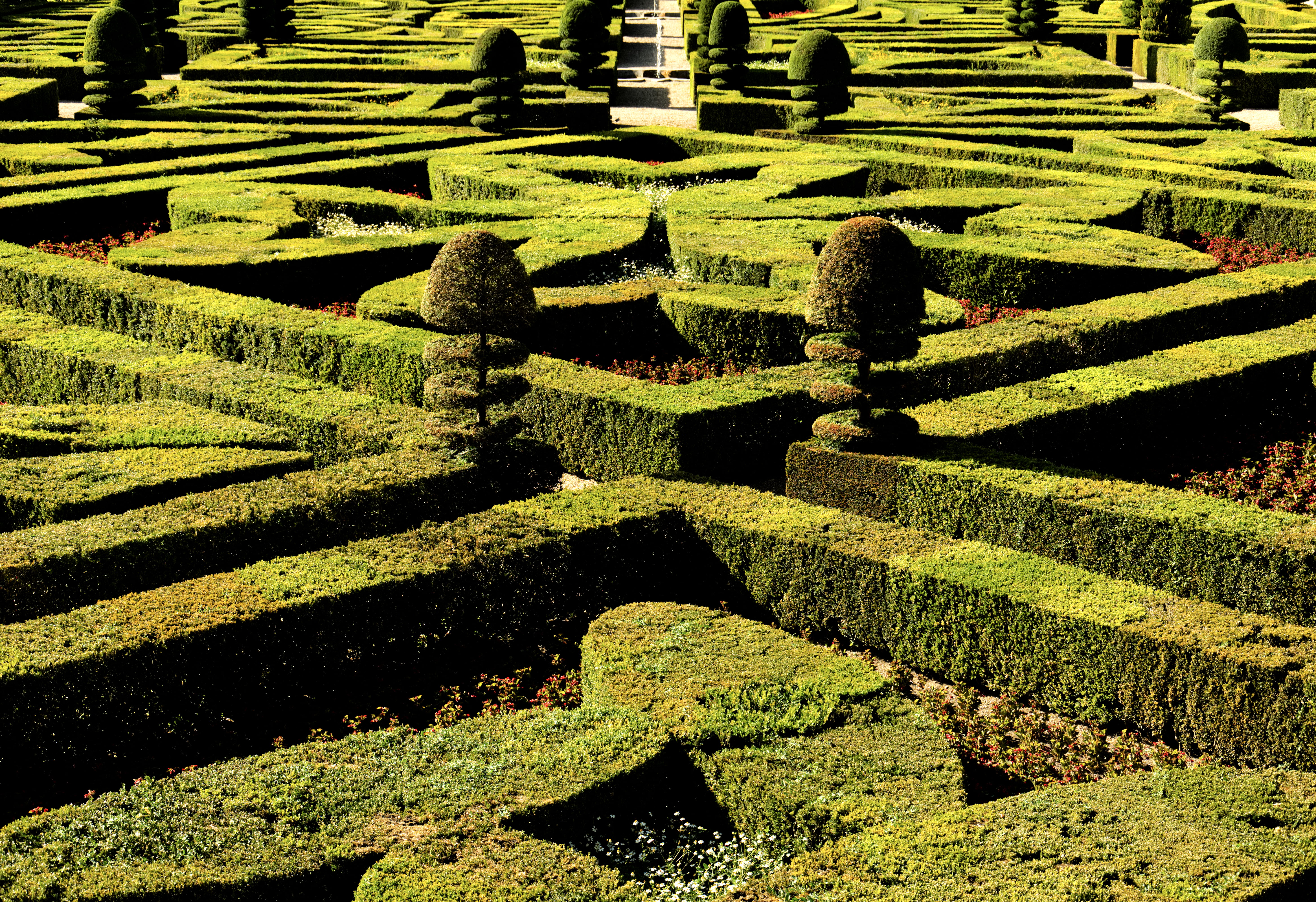 outdoors, complexity, hedge, château de villandry, plant, covey, 5K, green color, full frame, france, sunlight, bush, green, pattern, formal garden, no people, HD Wallpaper