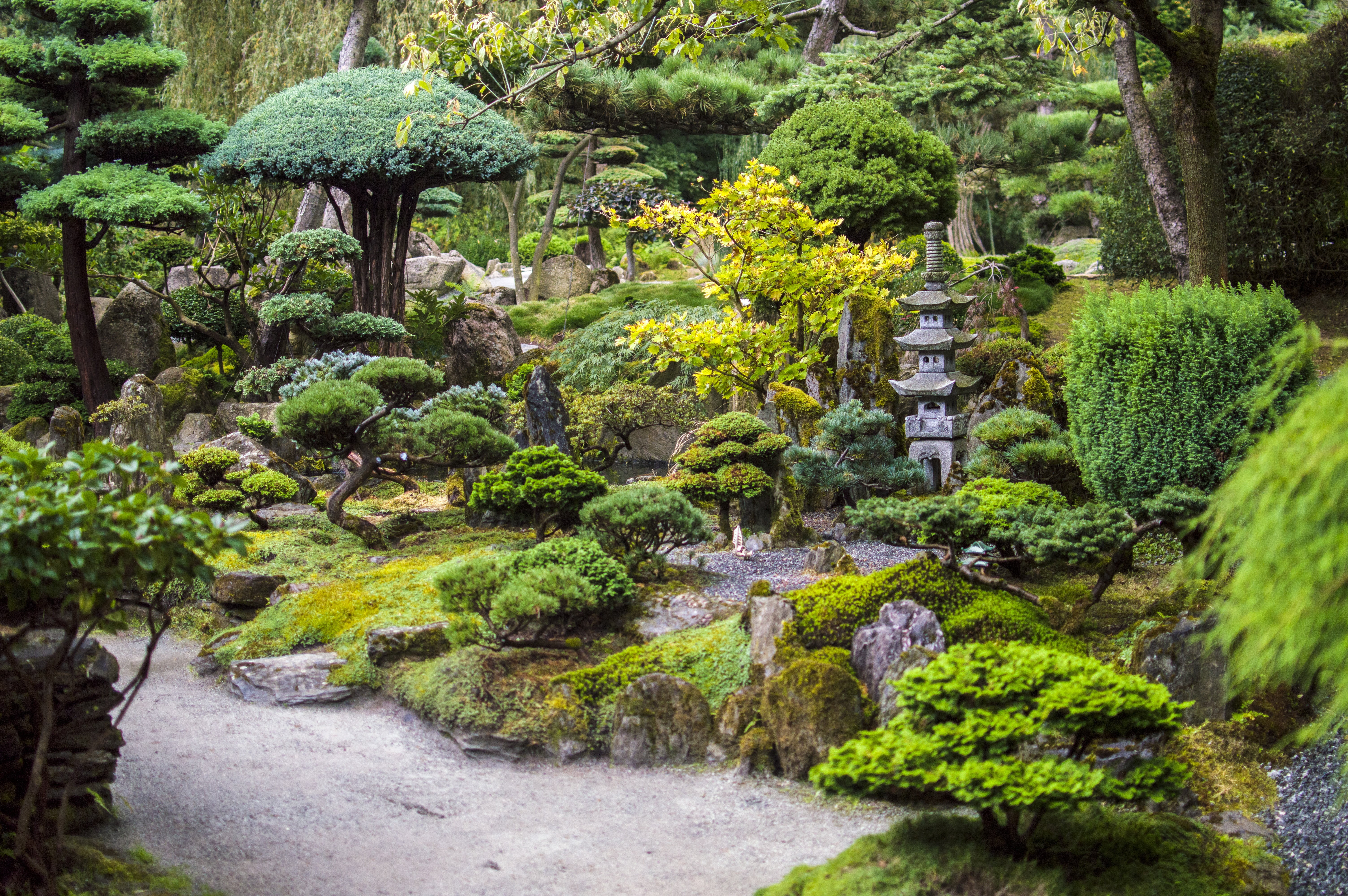 no people, formal garden, japanese garden, stone - object, green color, water, stomečky, rock - object, plants, garden, green, beauty in nature, outdoors, HD Wallpaper