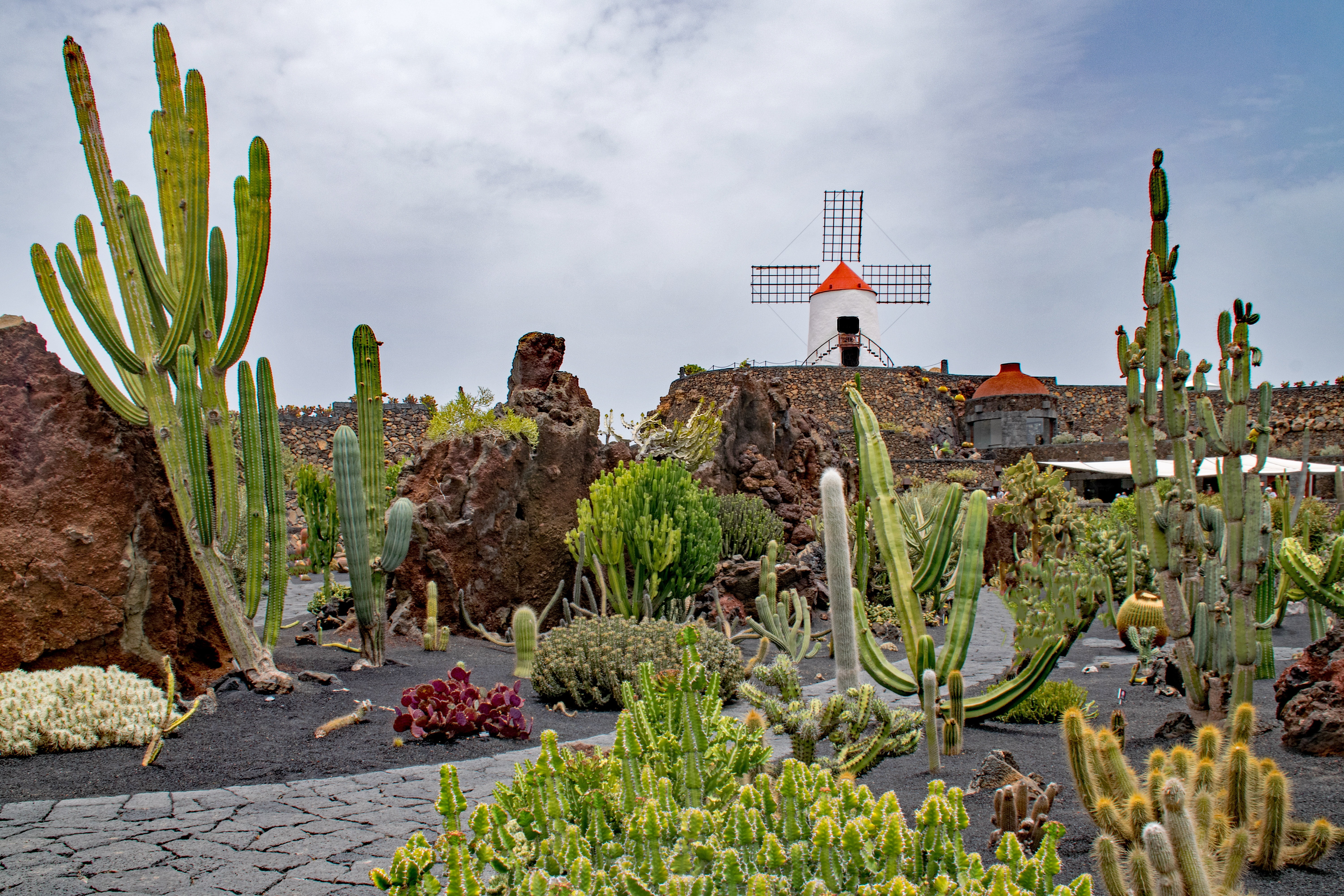 green color, jardin de cactus, no people, beauty in nature, nature, cactus, architecture, seed plants, garden, rock, plant, succulent plant, tranquility, HD Wallpaper