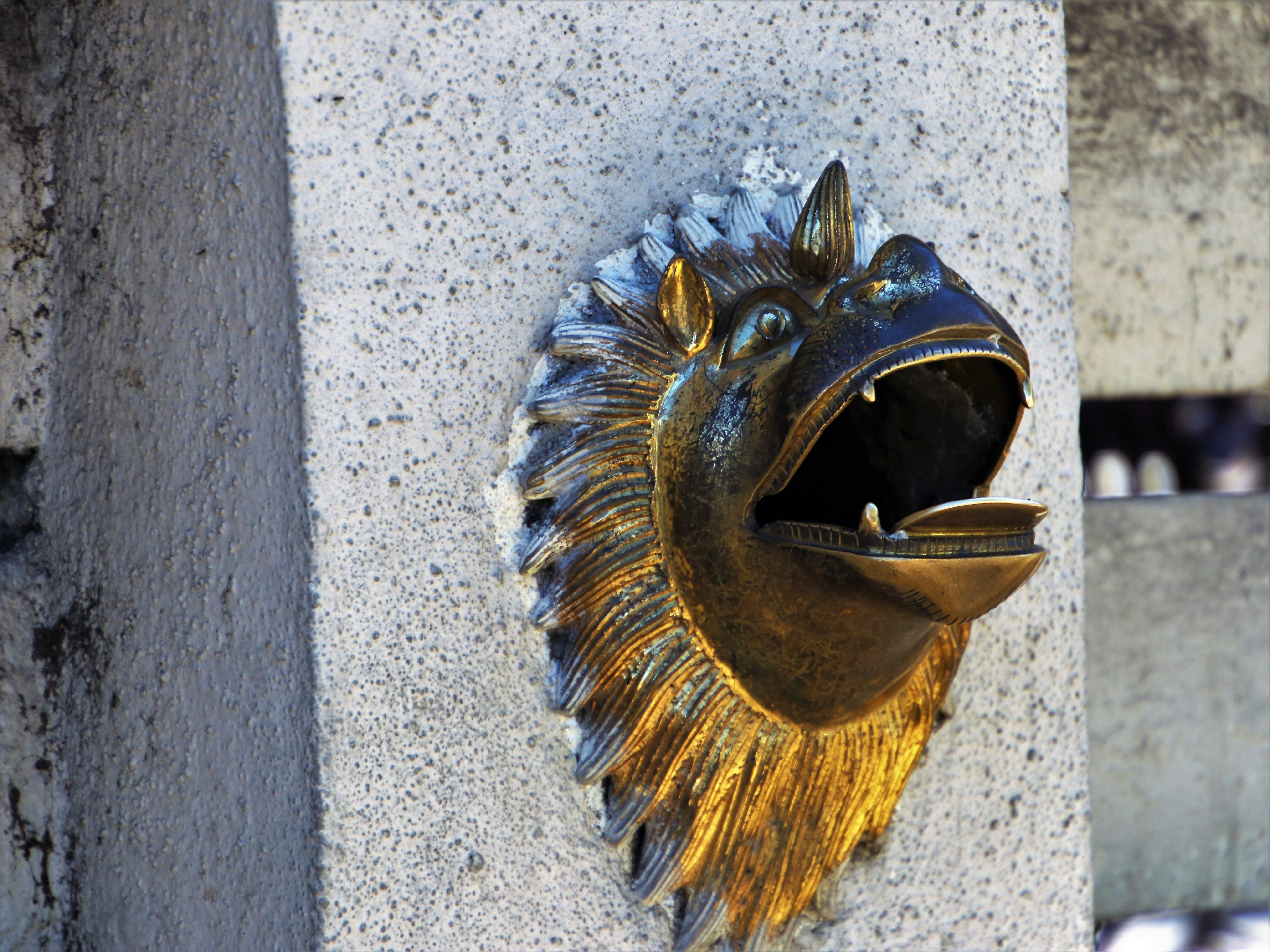 animals, representation, built structure, dragon, decorative, antique, artistic, design, symbol, animal representation, exotica, animal, invoice, the head of the, HD Wallpaper