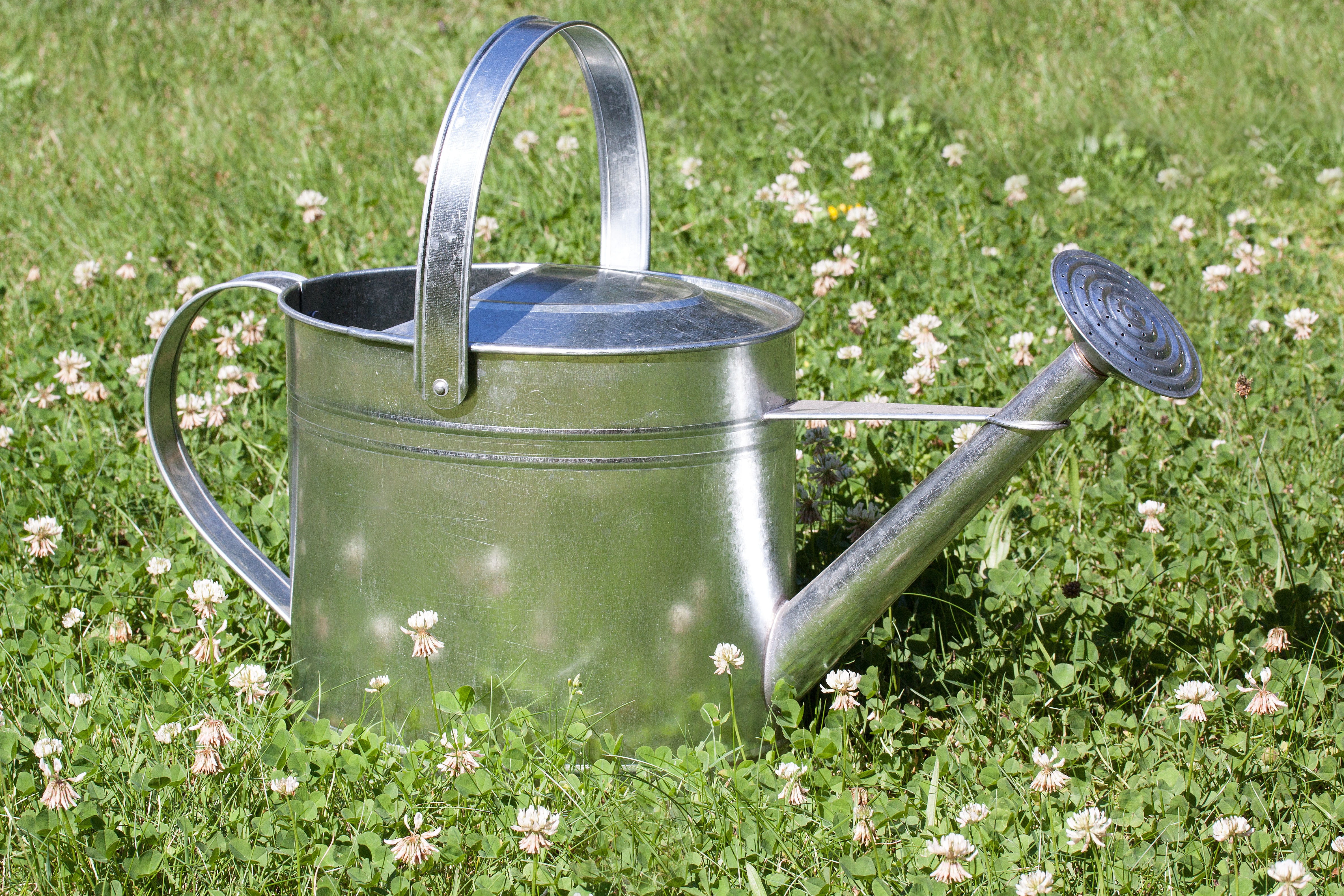 stainless, grass, sheet, gardening equipment, meadow, sprinkler, container, steel, land, kitchen utensil, field, garden, zinc plated, watering can, household equipment, HD Wallpaper