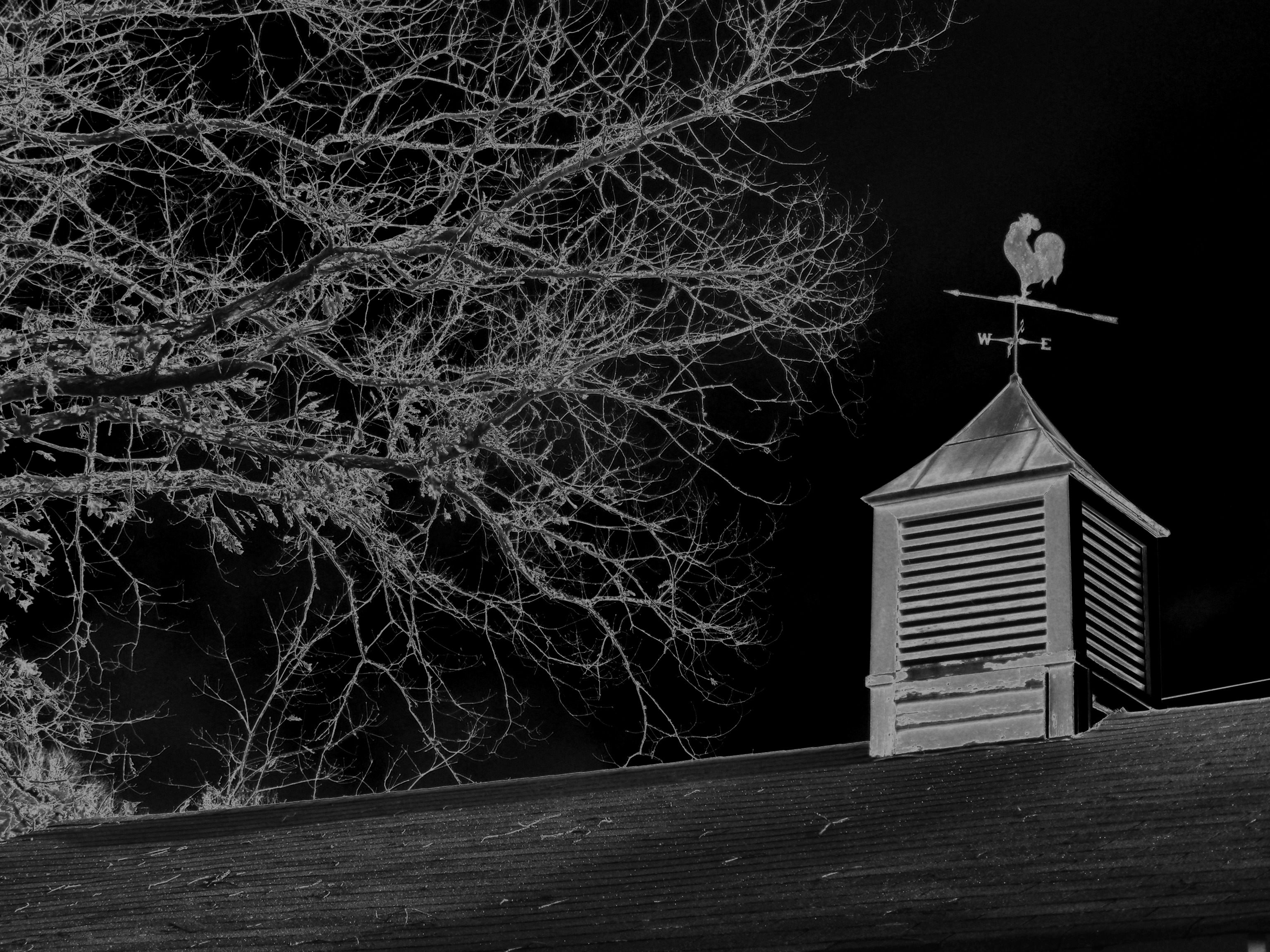 building exterior, branches, marrowbone, night, low angle view, picture, spirituality, branch, wind, dark, wind direction indicator, black, fall, trees, HD Wallpaper