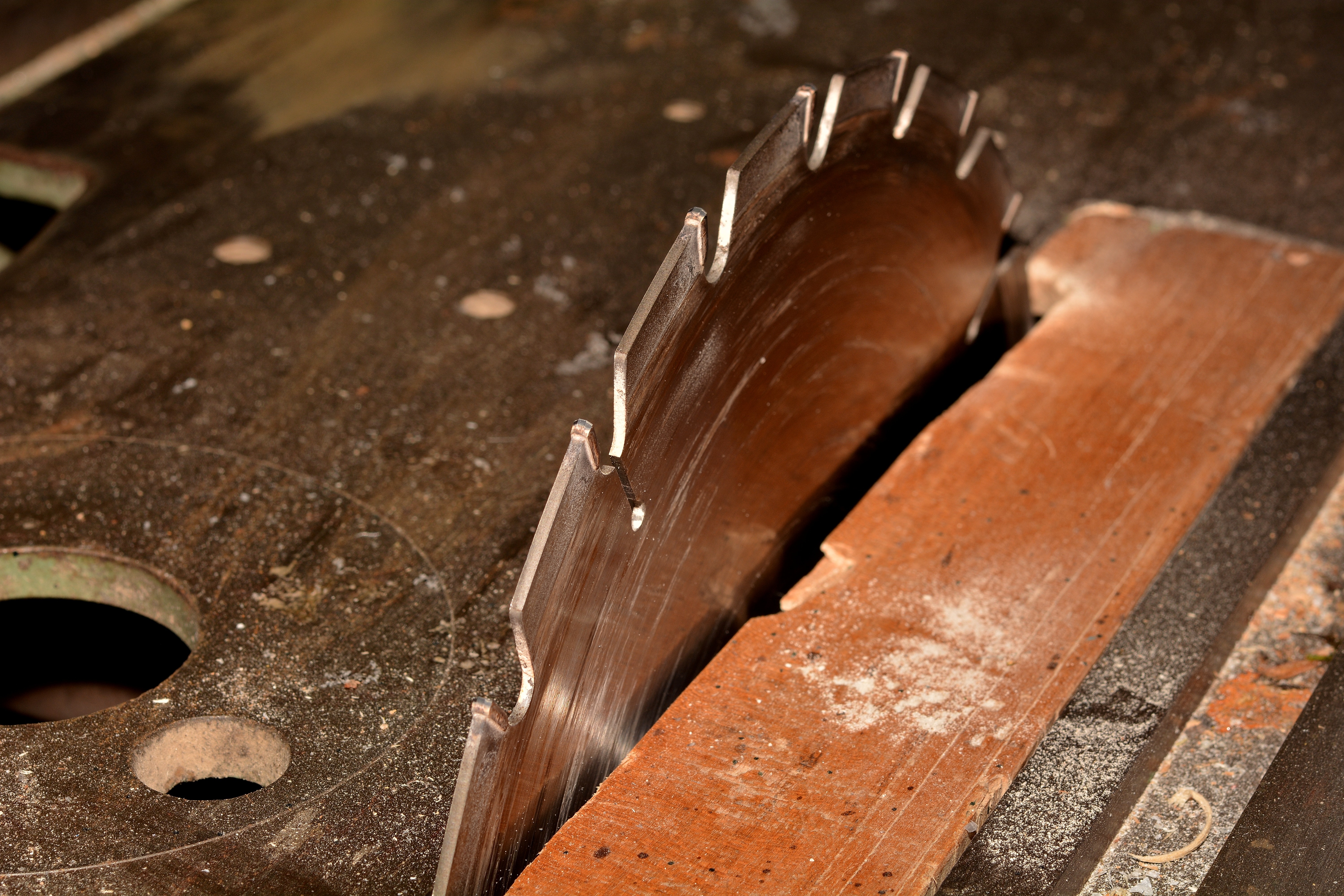 saw blade, preparation, wood - material, work tool, food, food and drink, art and craft equipment, selective focus, workshop, still life, table, metal, HD Wallpaper
