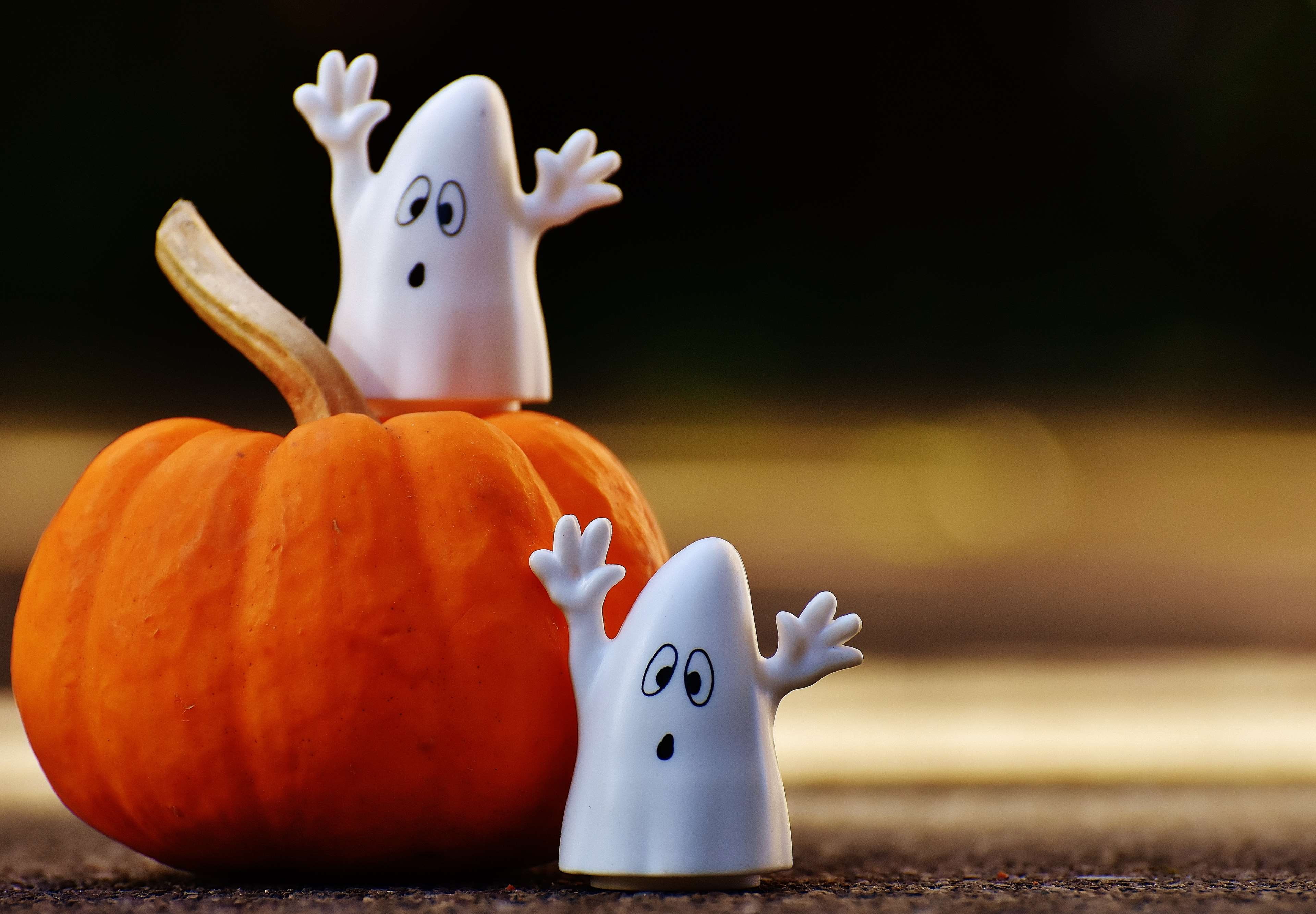 no people, autumn, food, human representation, indoors, close-up, cute, representation, mood, group, group of objects, nature, october, pumpkin, anthropomorphic, HD Wallpaper