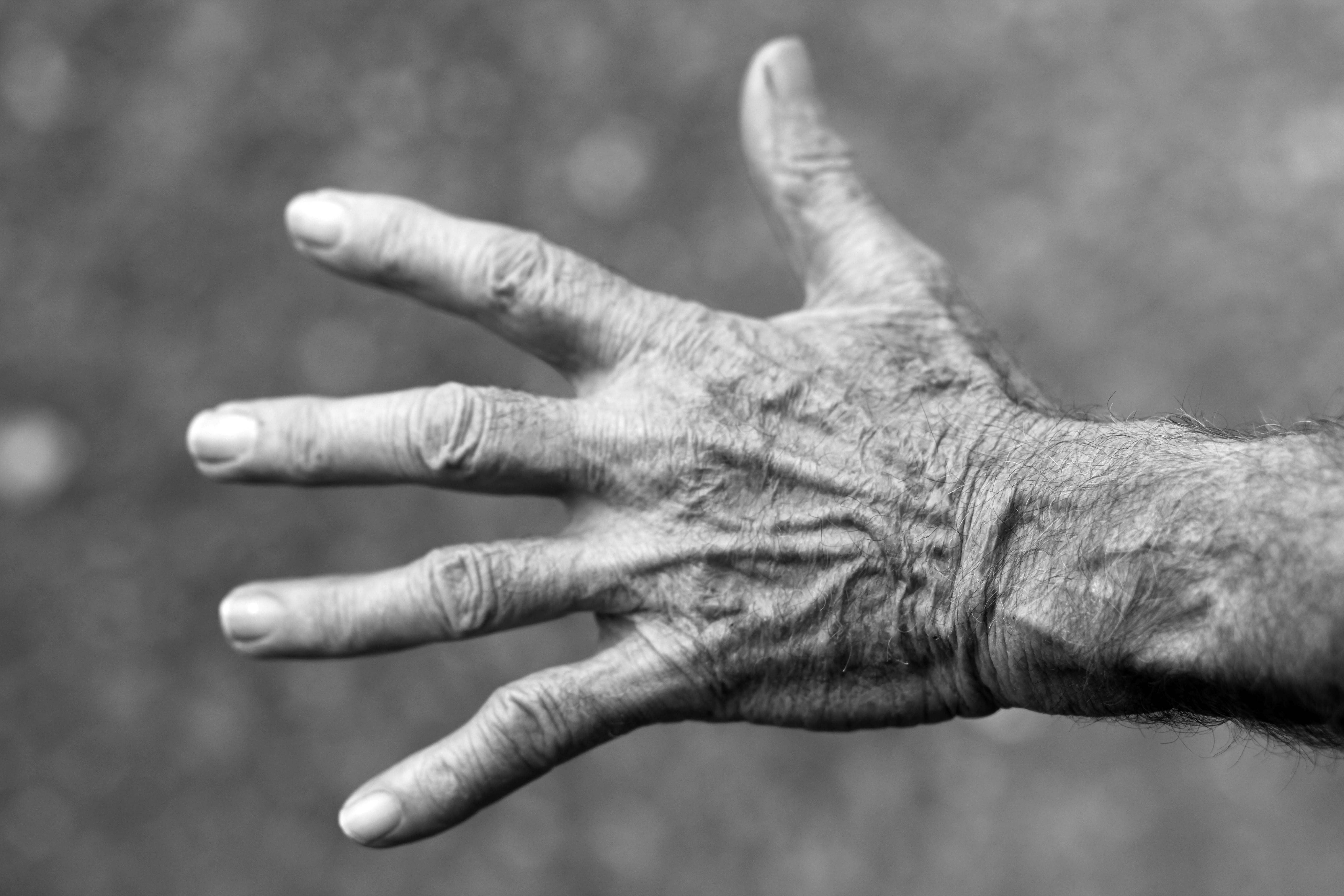 human Hand, photography, close-up, day, thumb, left, elderly woman, body part, 5K, human body part, one person, black And White, grayscale, finger, senior Adult, HD Wallpaper
