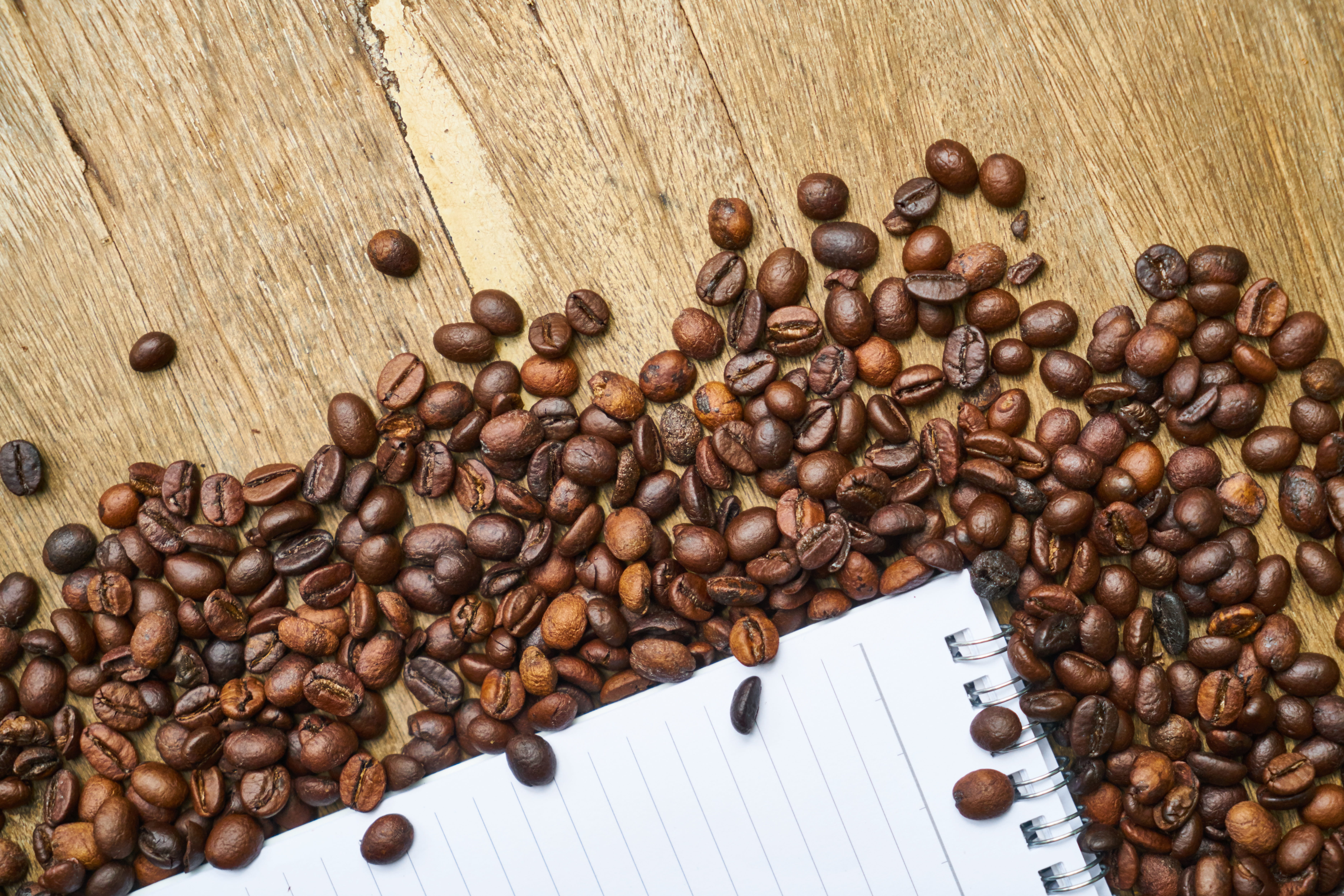 note, cup, drink, white, health, read, green, high angle view, roasted coffee bean, pencil, table, organic, fresh, the draw, backgrounds, article, page, HD Wallpaper