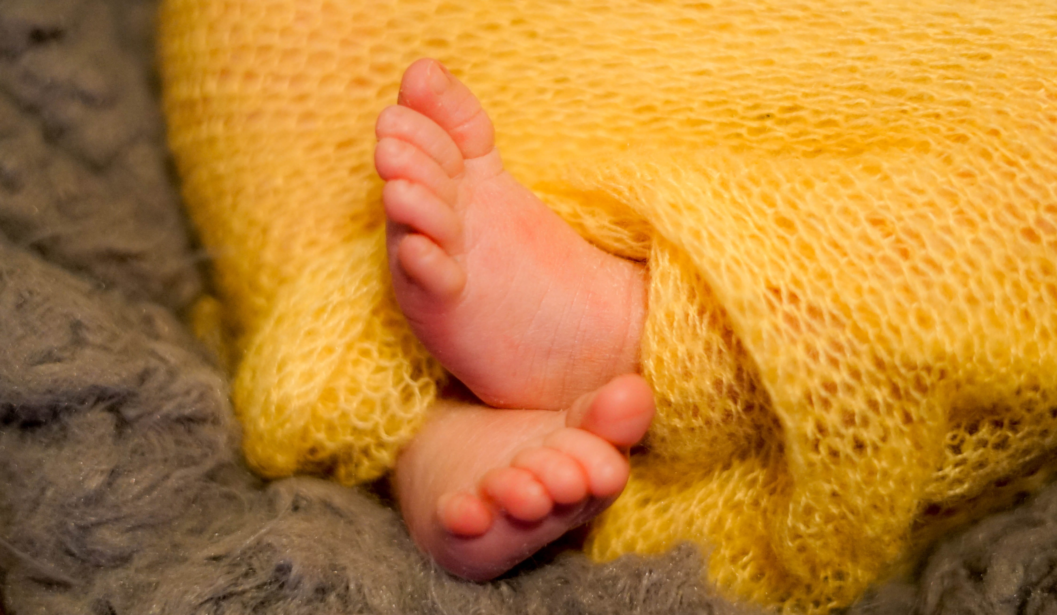 body part, babyhood, innocence, low section, pollen, yellow, new born, barefoot, heel, ankle, gilr, human limb, baby, plant, wool, human body part, child, HD Wallpaper