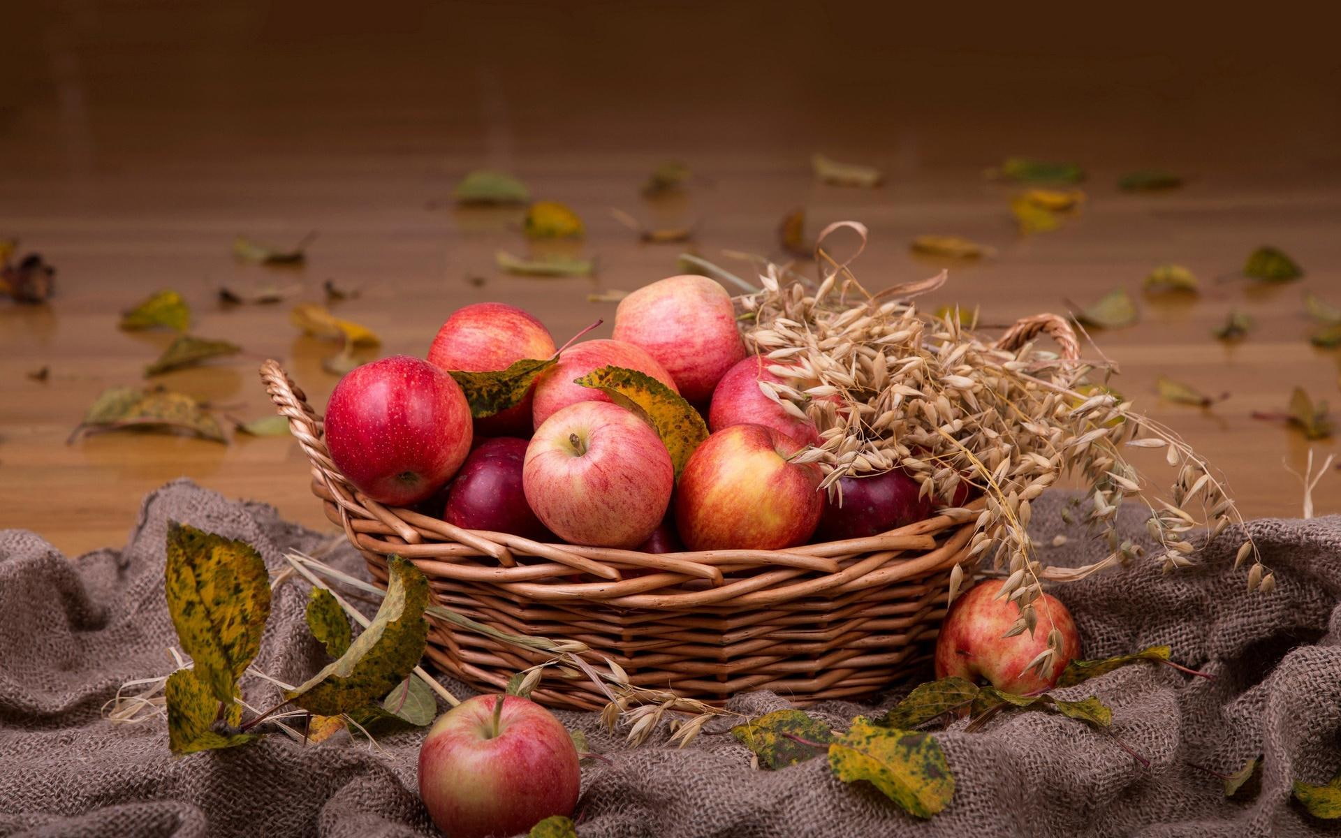 1080P, fruit, brown, wicker, apples, apple, 1920x1200, basket, photography, HD Wallpaper