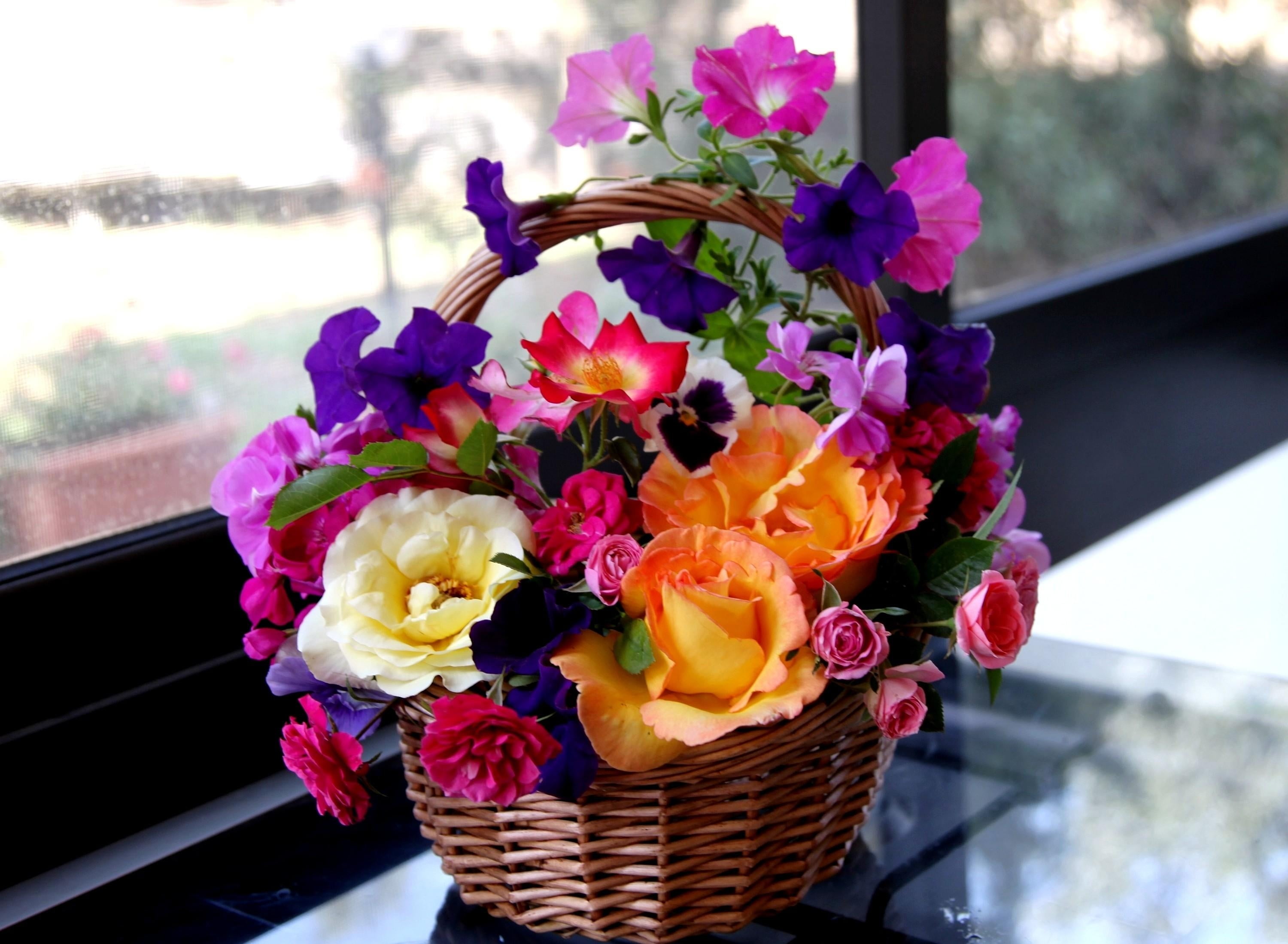 bunch of flowers, glass - material, backgrounds, flower pot, focus on foreground, love, nature, outdoors, no people, pink Color, petunia, pansy, window, HD Wallpaper
