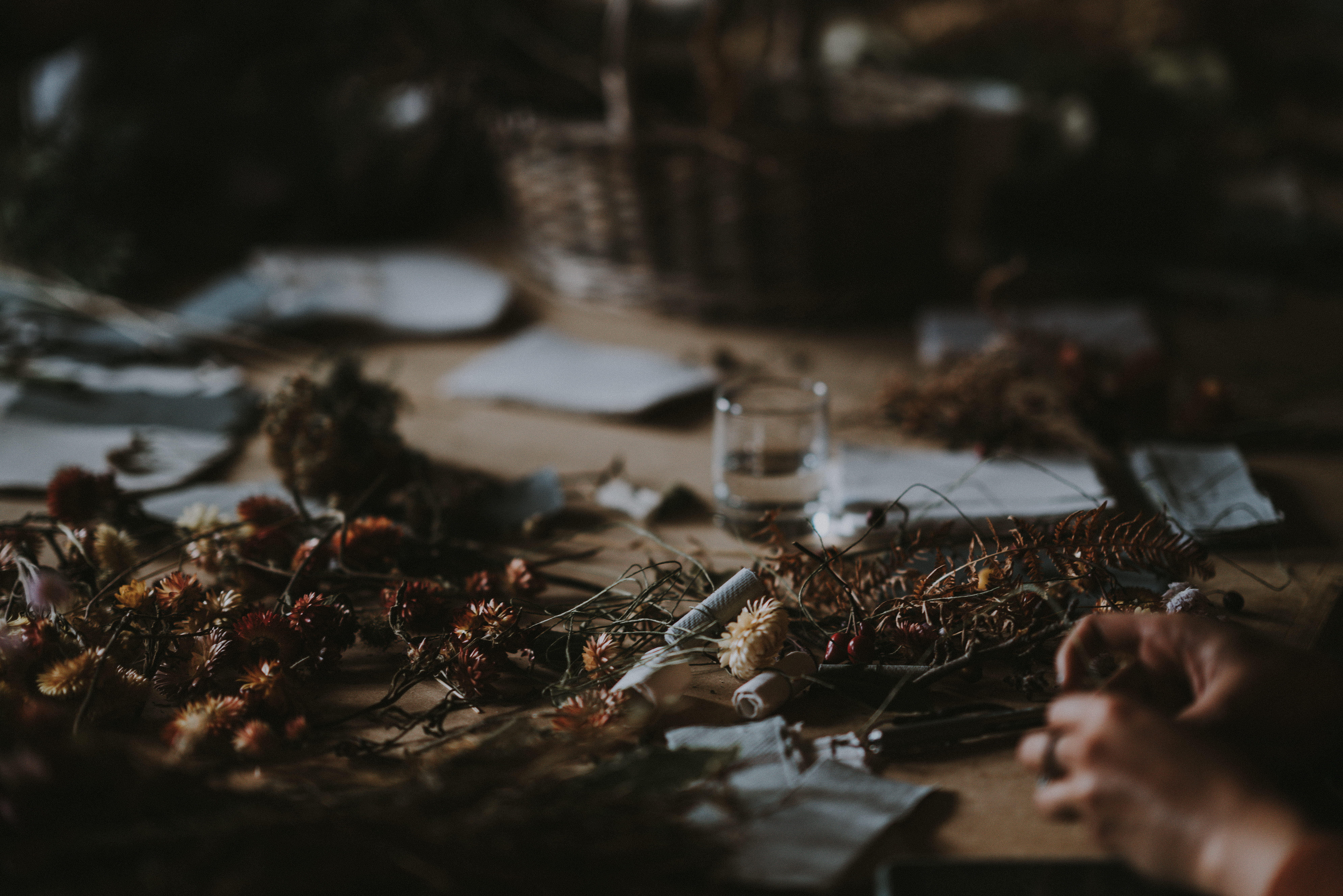 day, hand, worm, one person, seafood, ant, animal, invertebrate, human body part, human hand, wood - material, bee, selective focus, close-up, wasp, cricket insect, HD Wallpaper