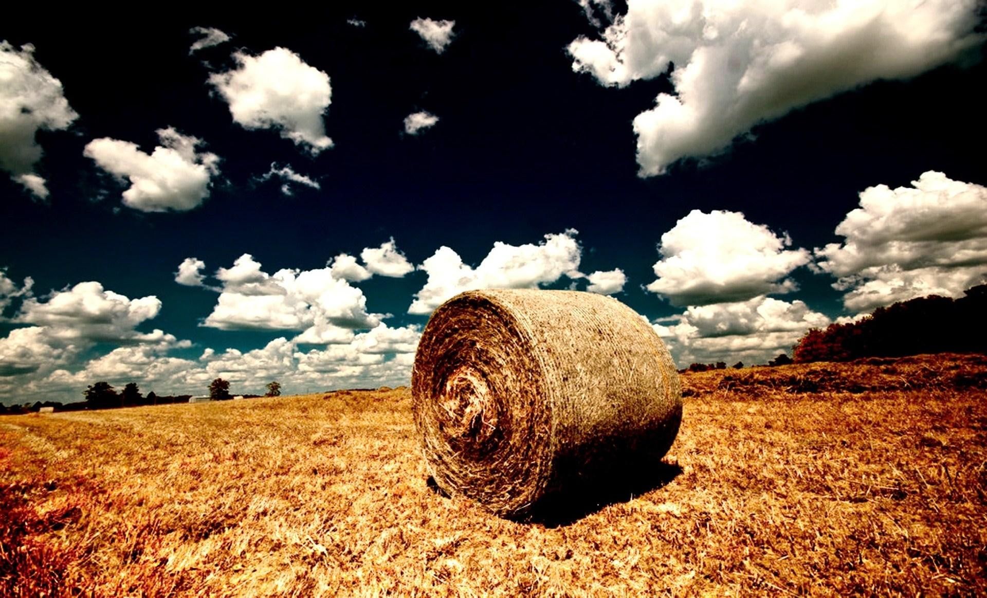 other, nature, beautiful, 3d and abstract, farm, 1080P, HD Wallpaper